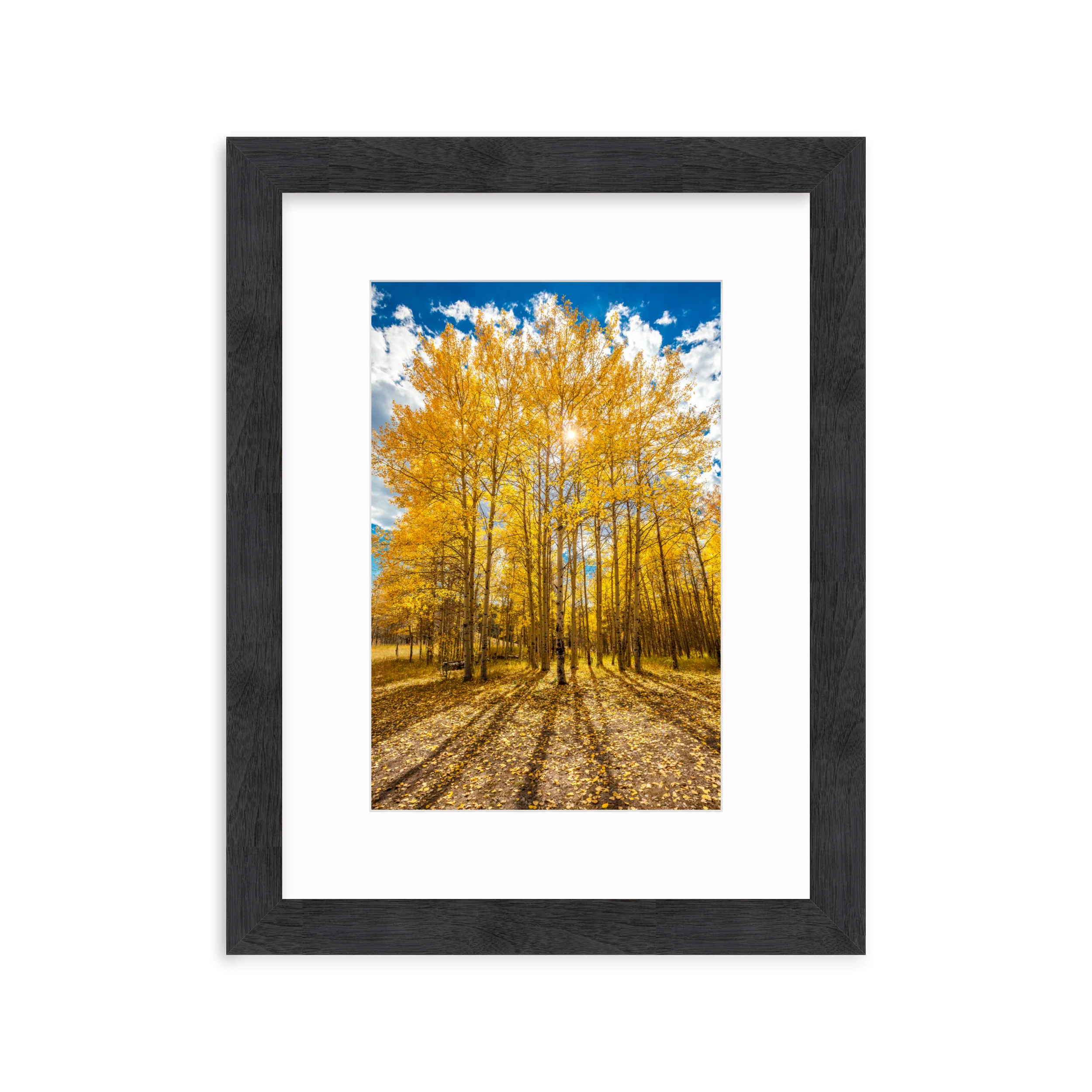 Aspen Shadows - Image 13