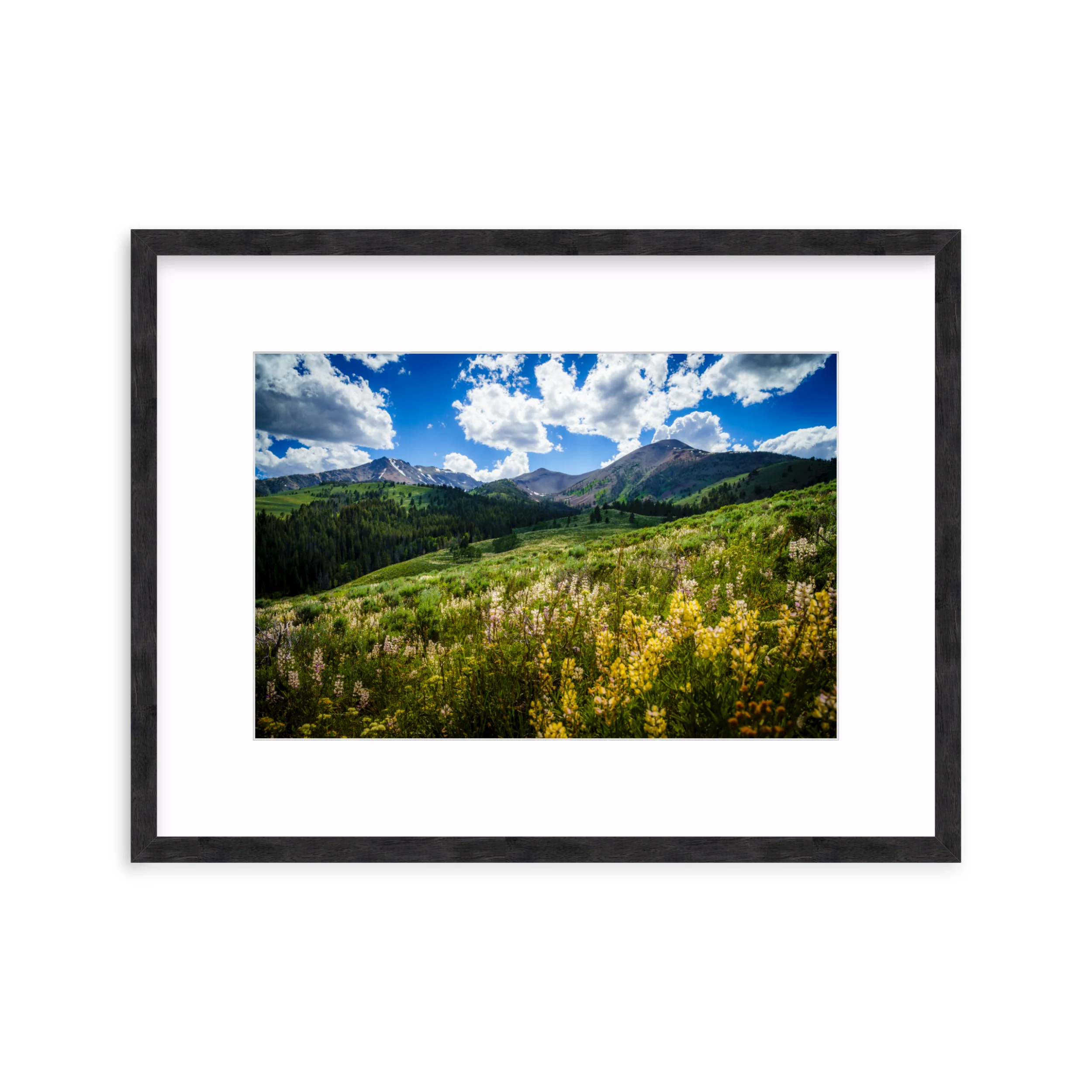 Black Dome - Image 10