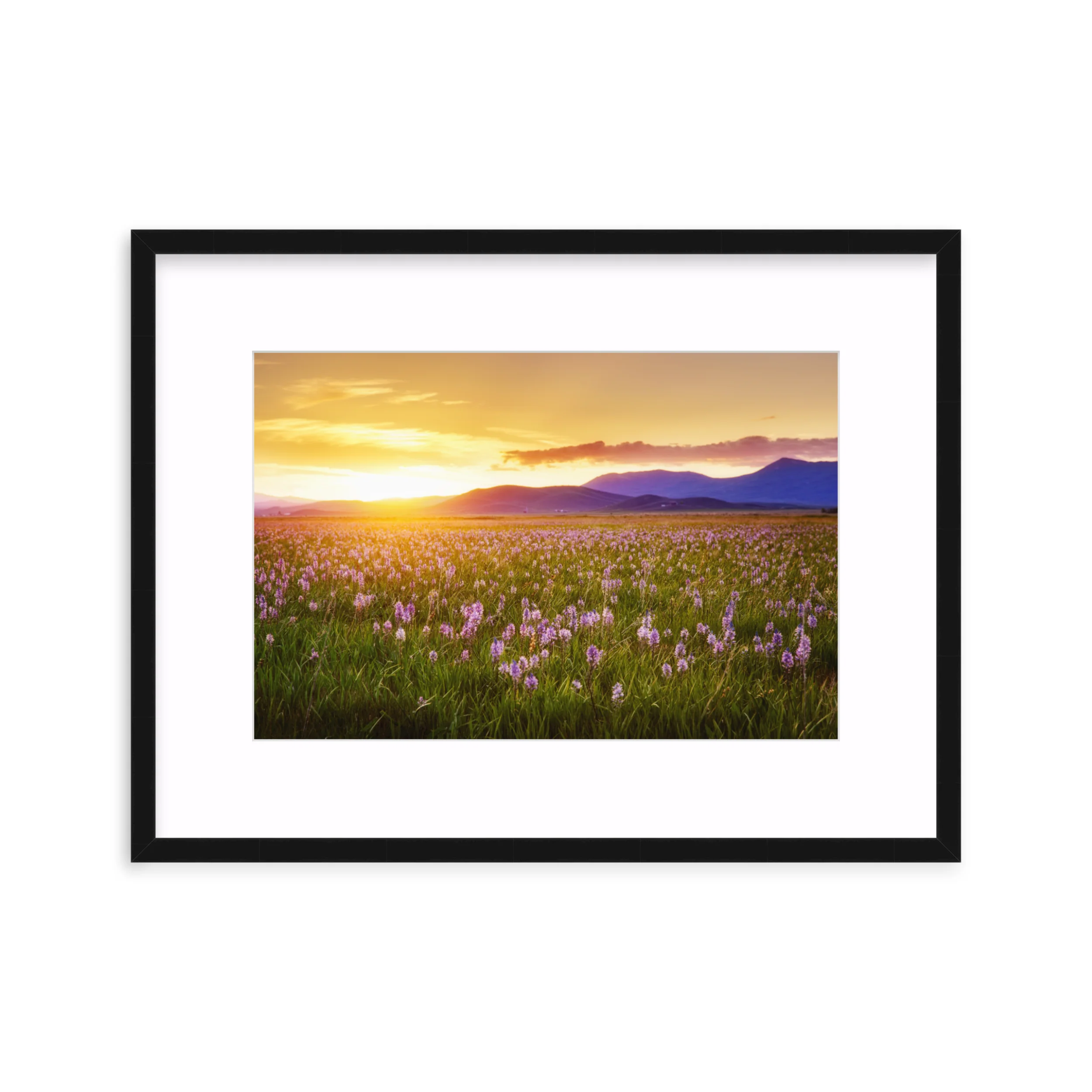 Camas Prairie