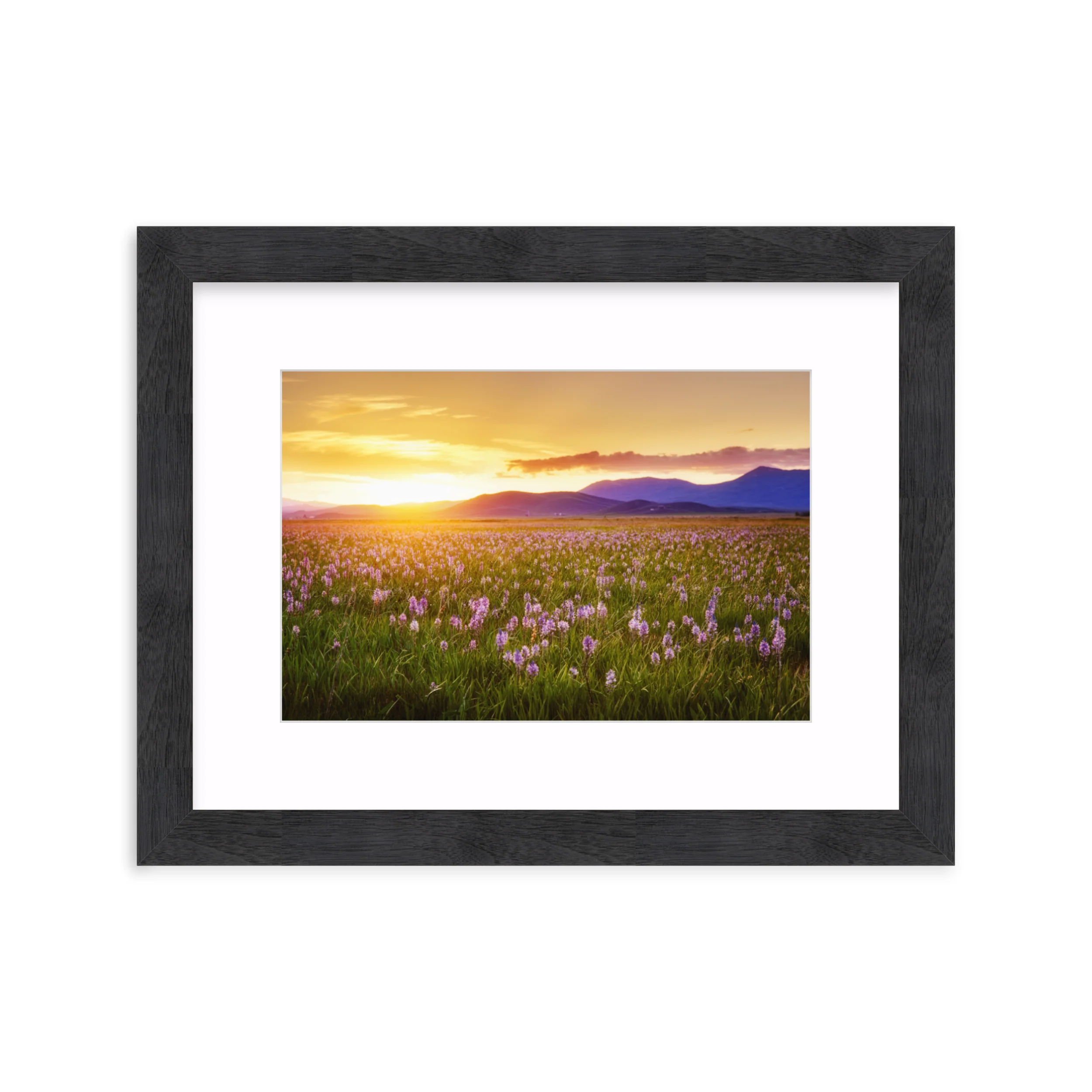 Camas Prairie - Image 13