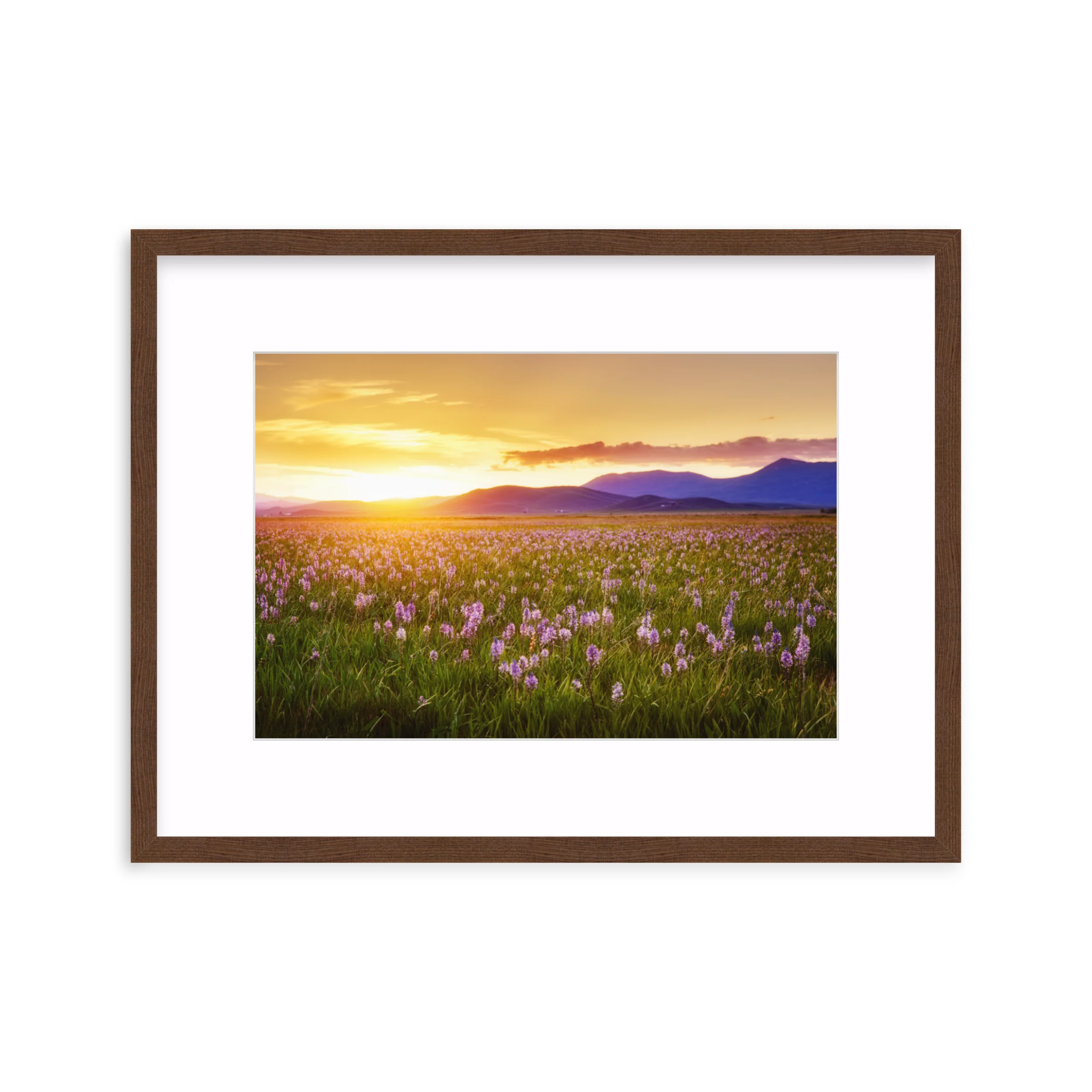 Camas Prairie - Image 5
