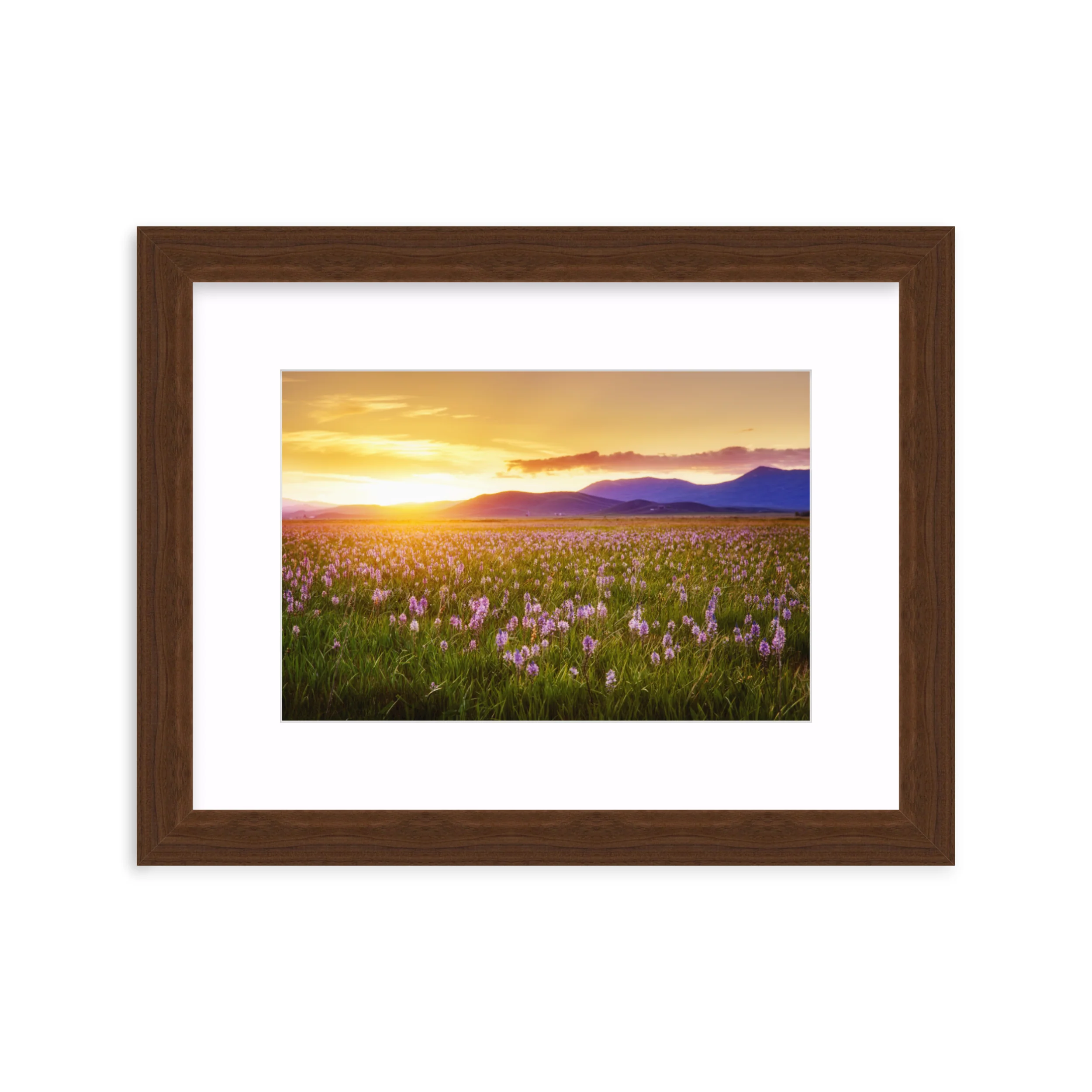 Camas Prairie - Image 9
