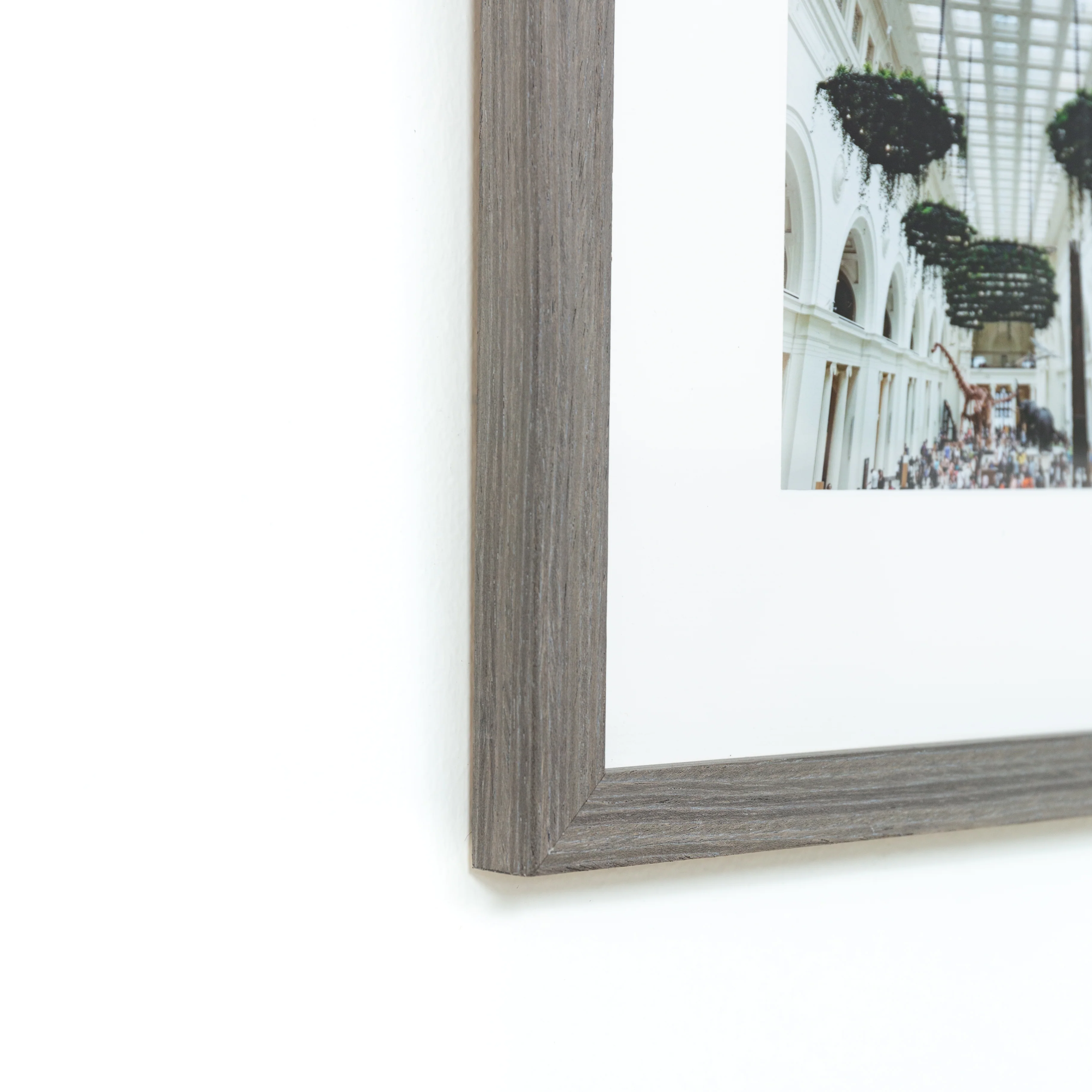 Everett - Image 4