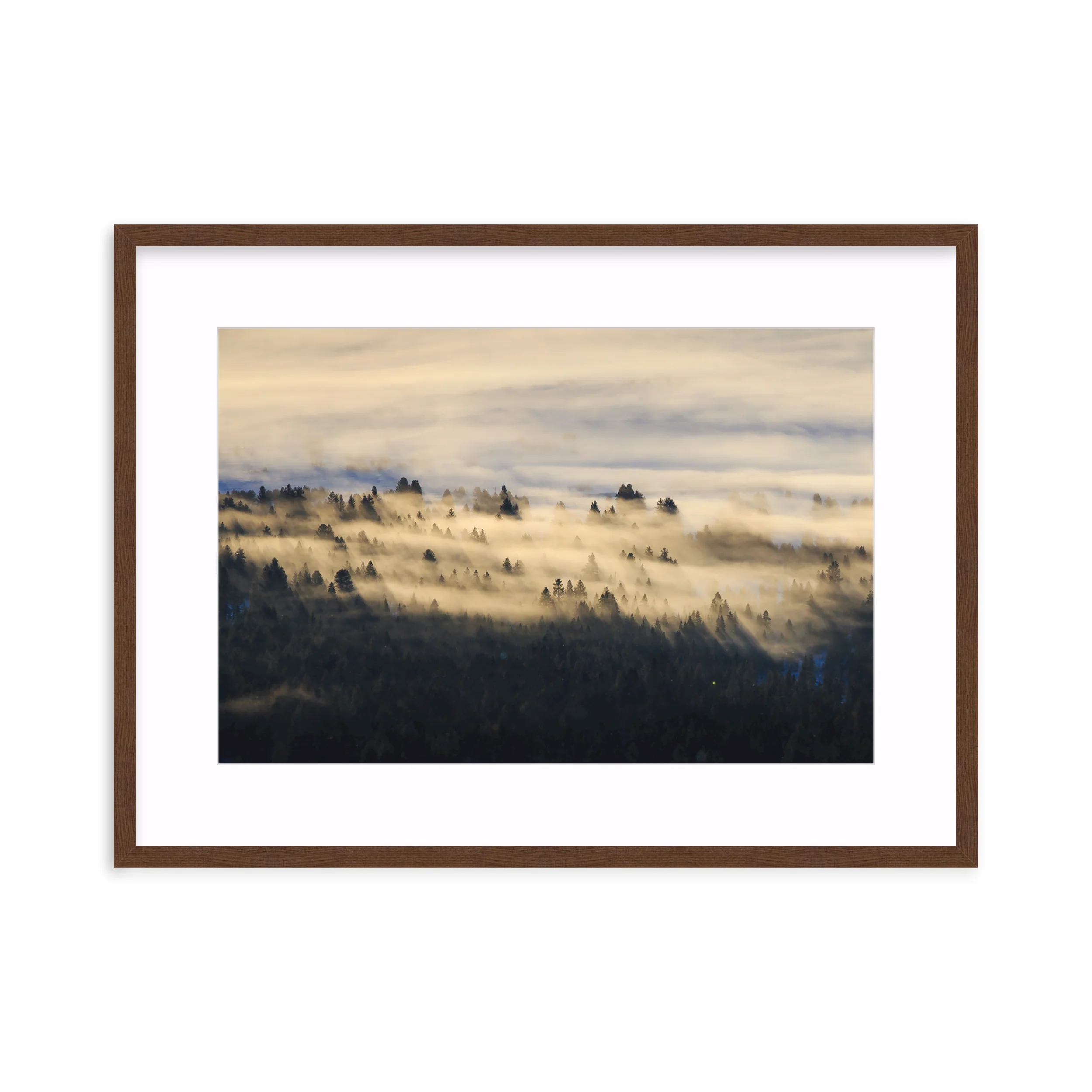 Foggy Valley - Image 5