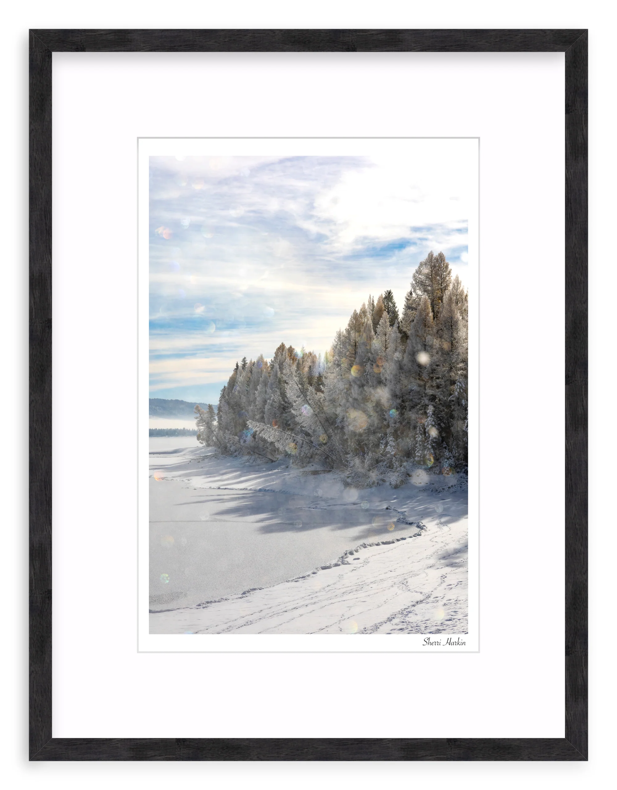 Frost Crystals in the Air - Image 10