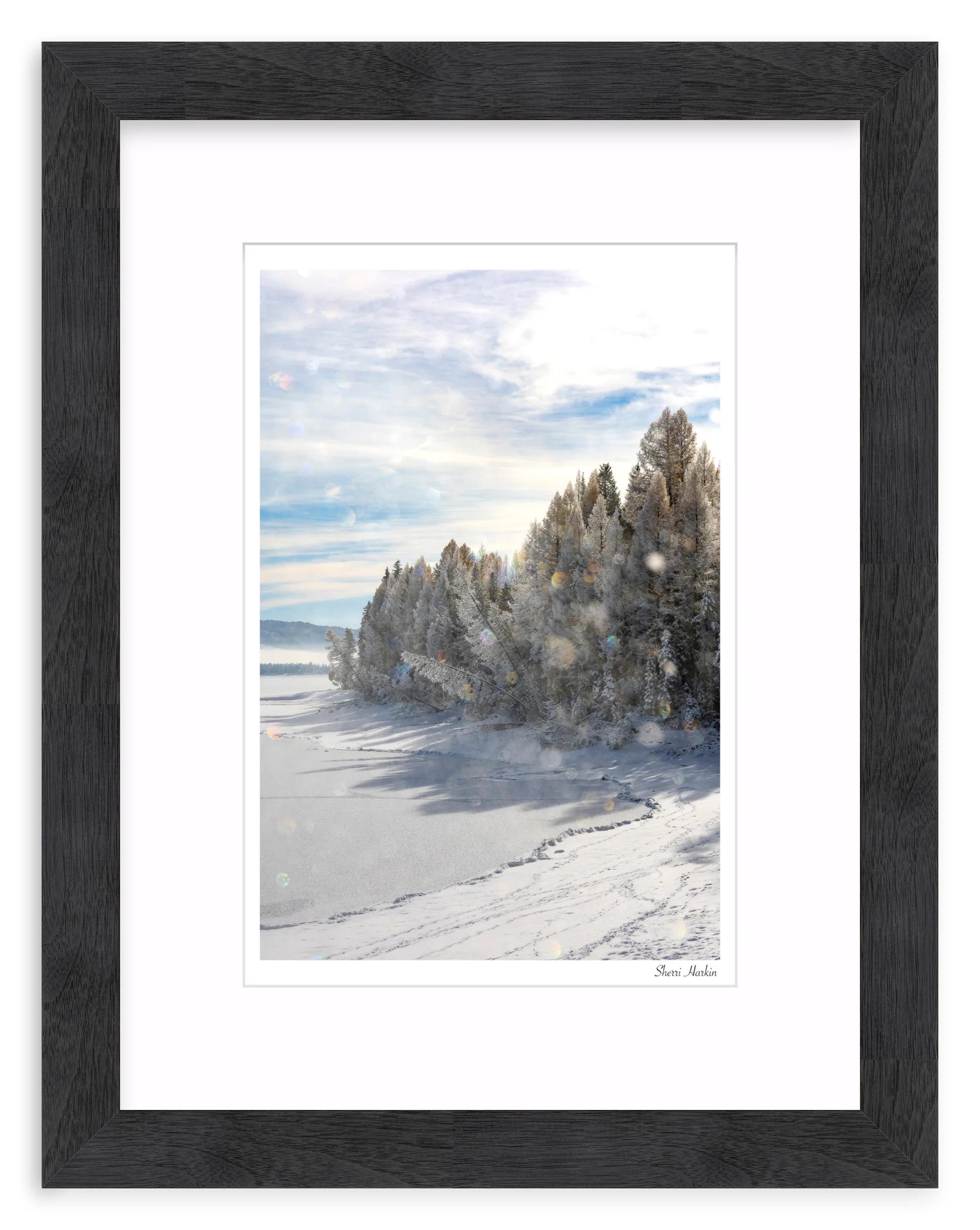 Frost Crystals in the Air - Image 13