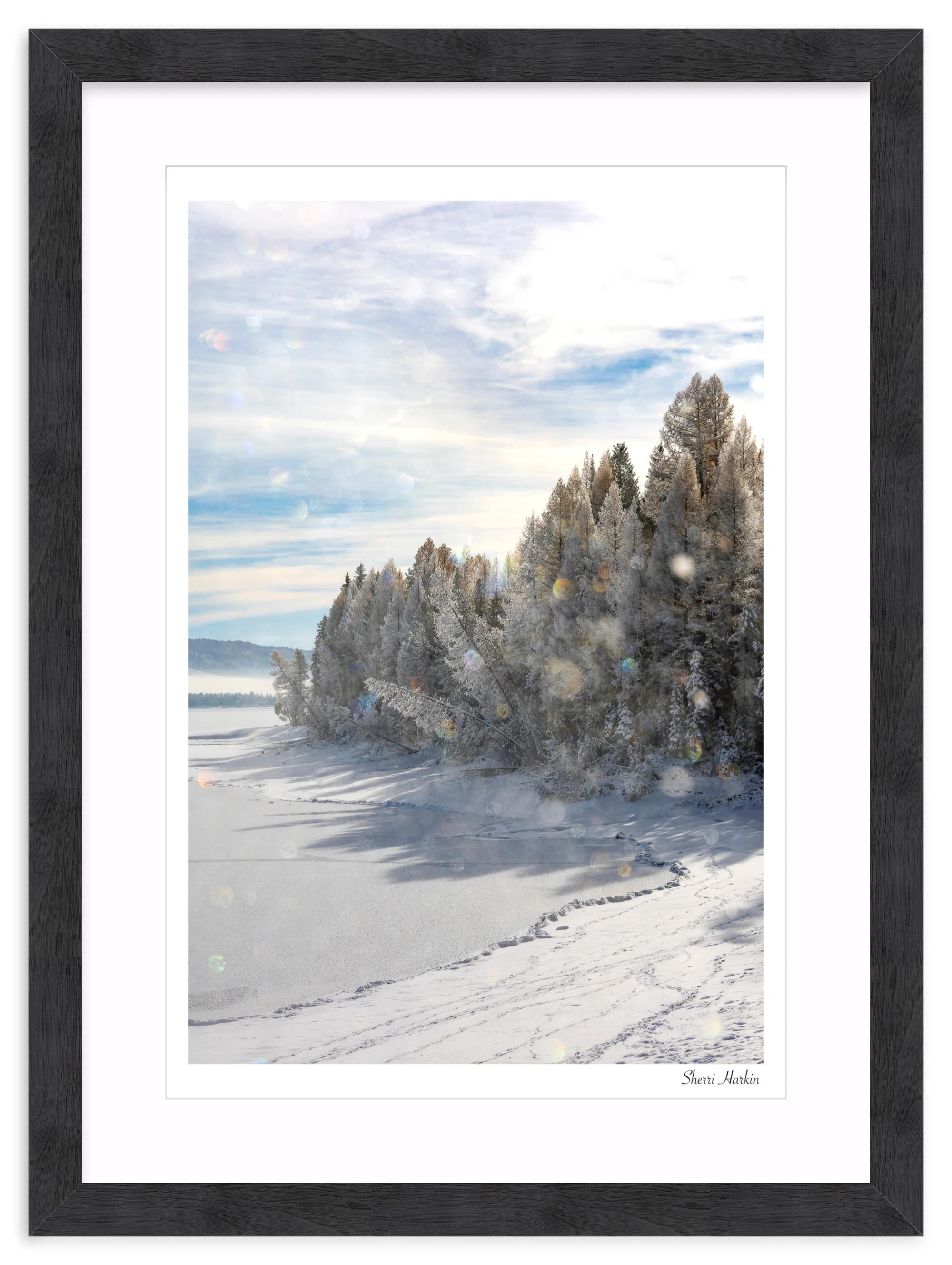Frost Crystals in the Air - Image 15