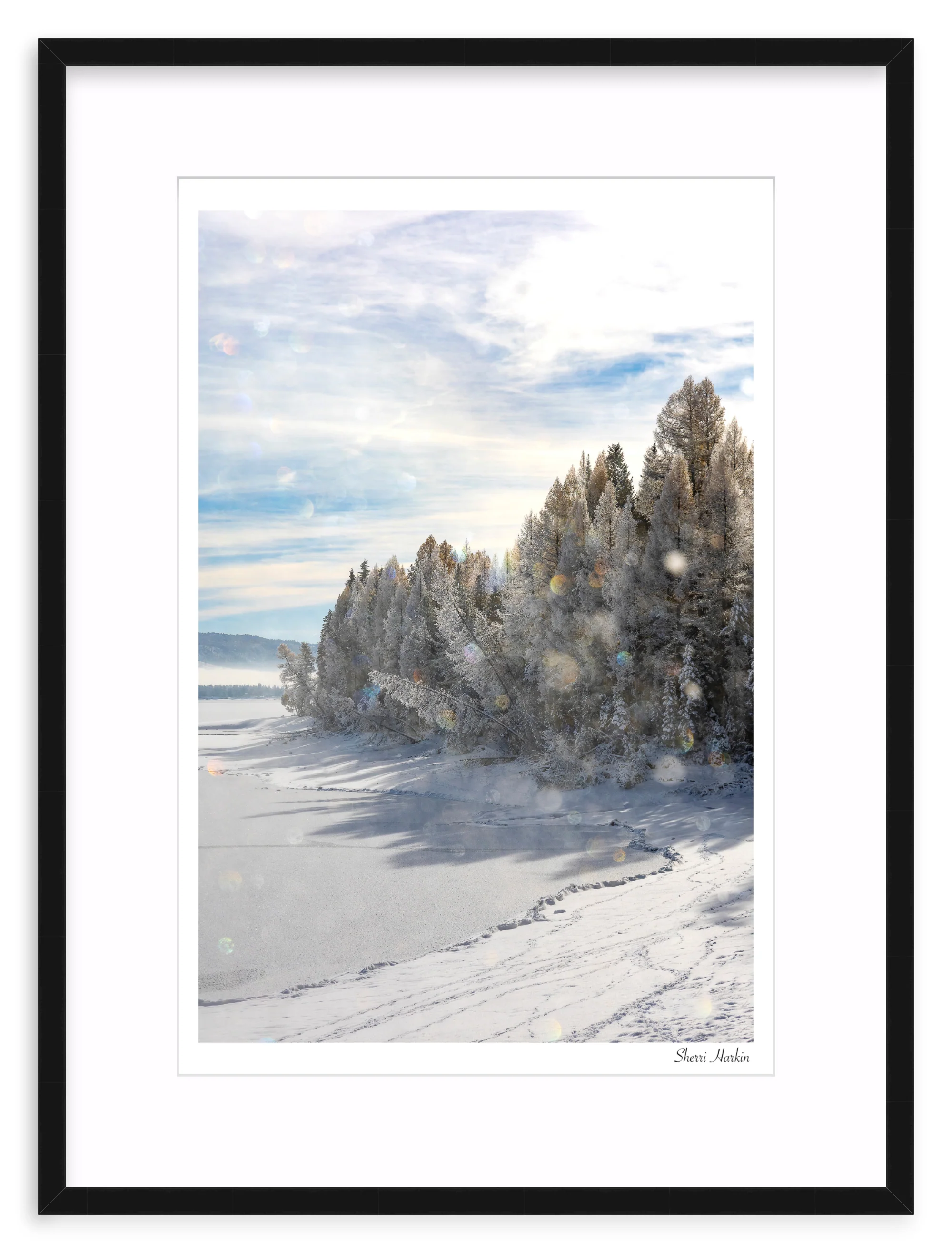 Frost Crystals in the Air - Image 2