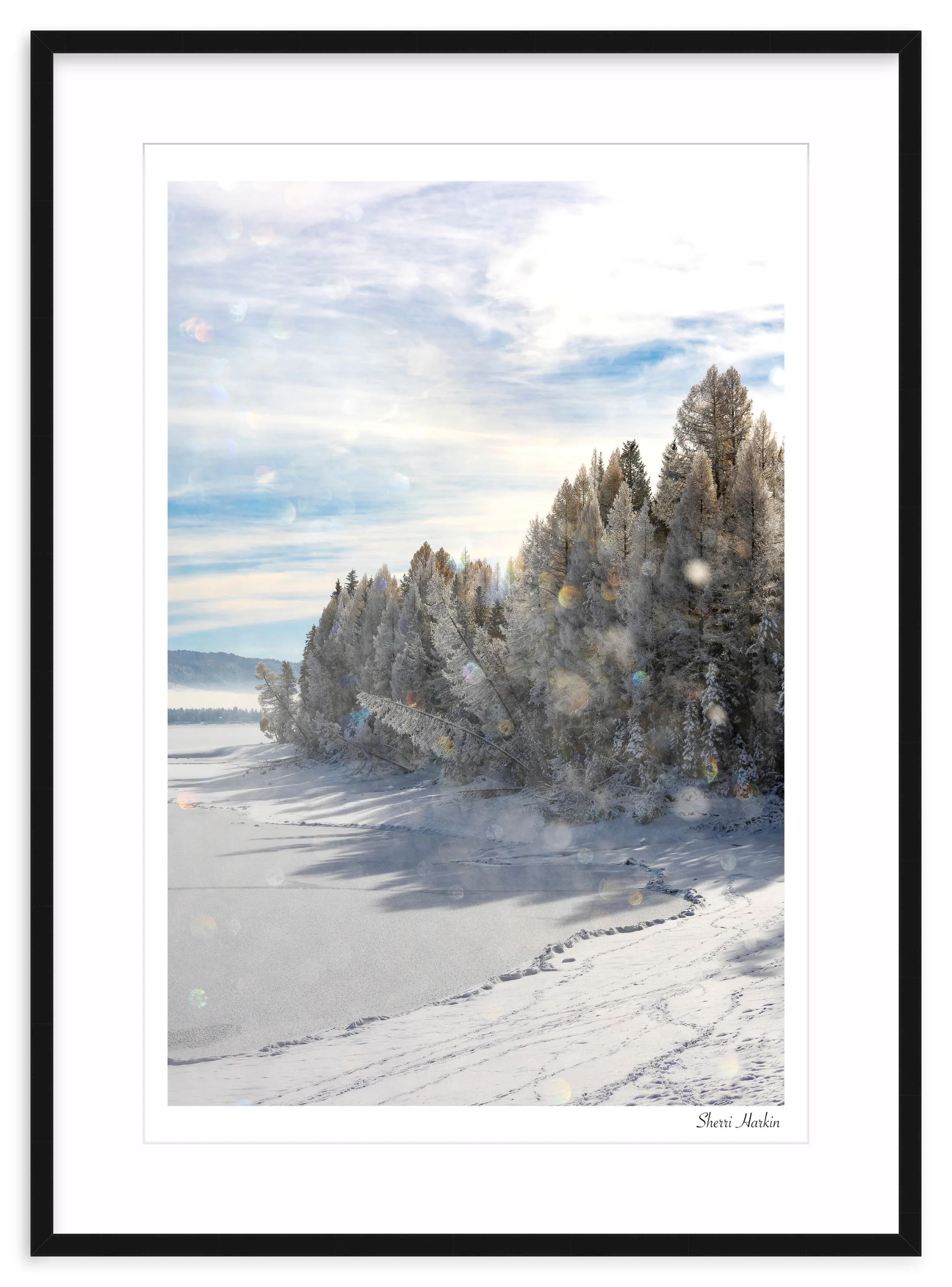 Frost Crystals in the Air - Image 3