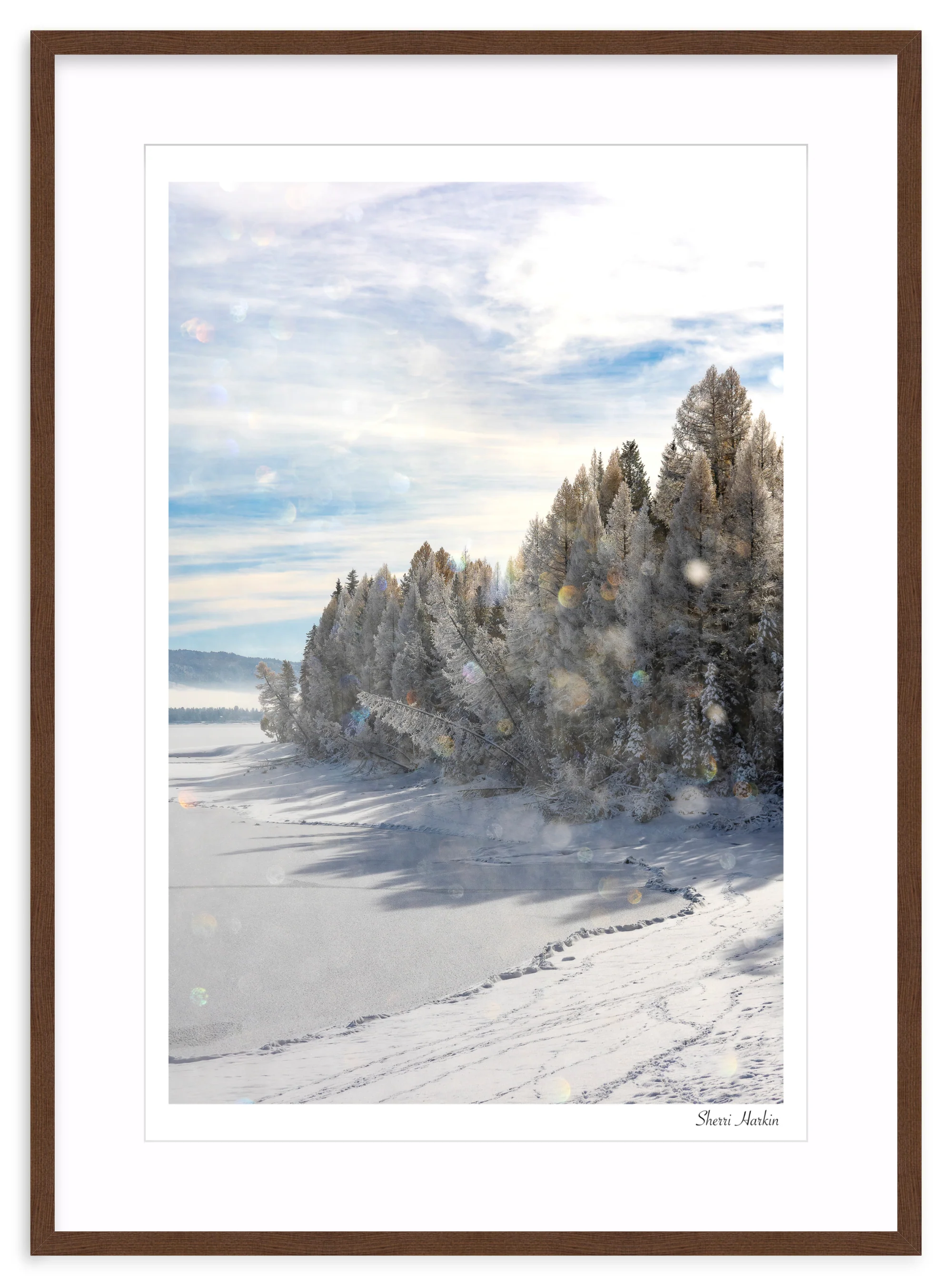 Frost Crystals in the Air - Image 6