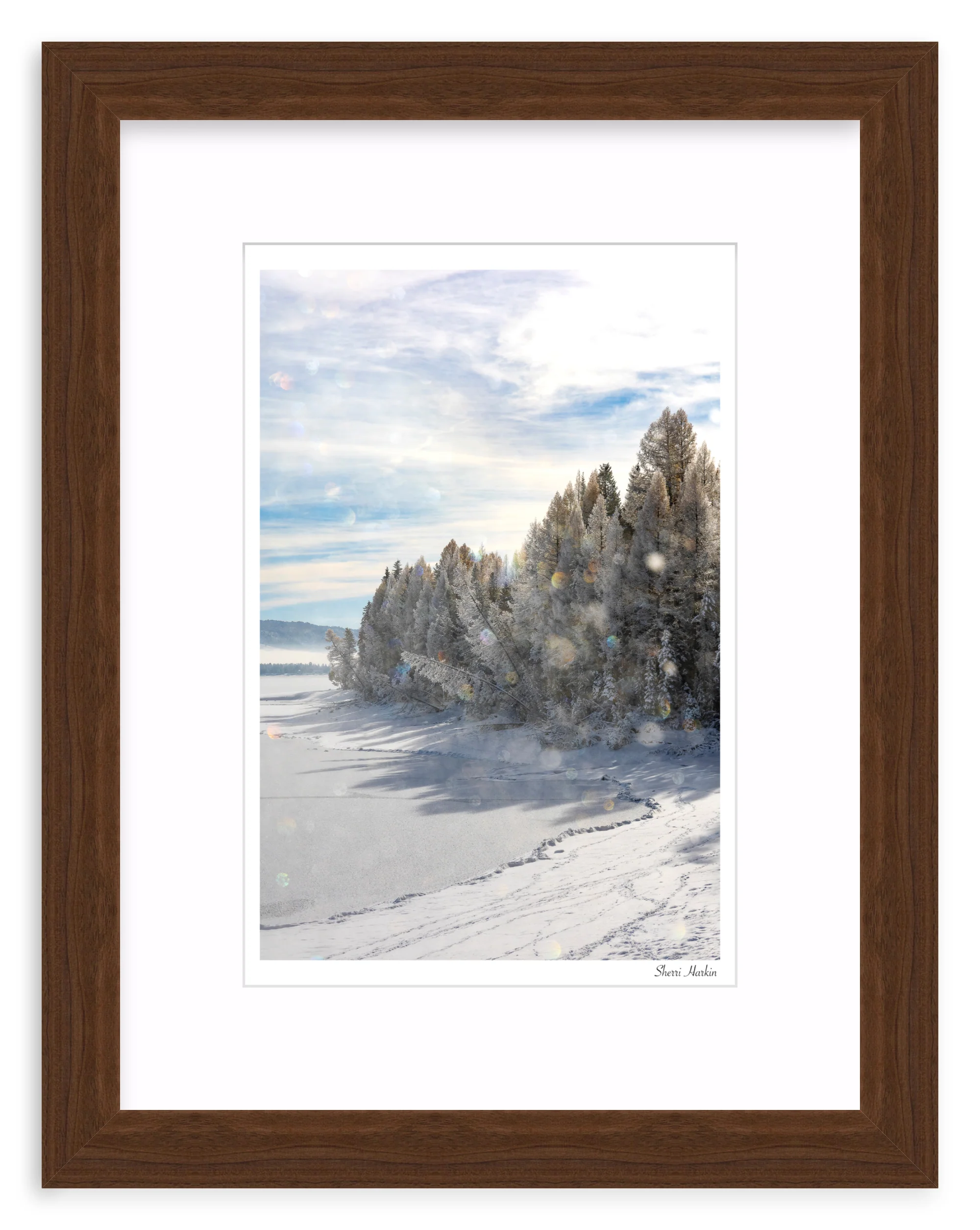 Frost Crystals in the Air - Image 7