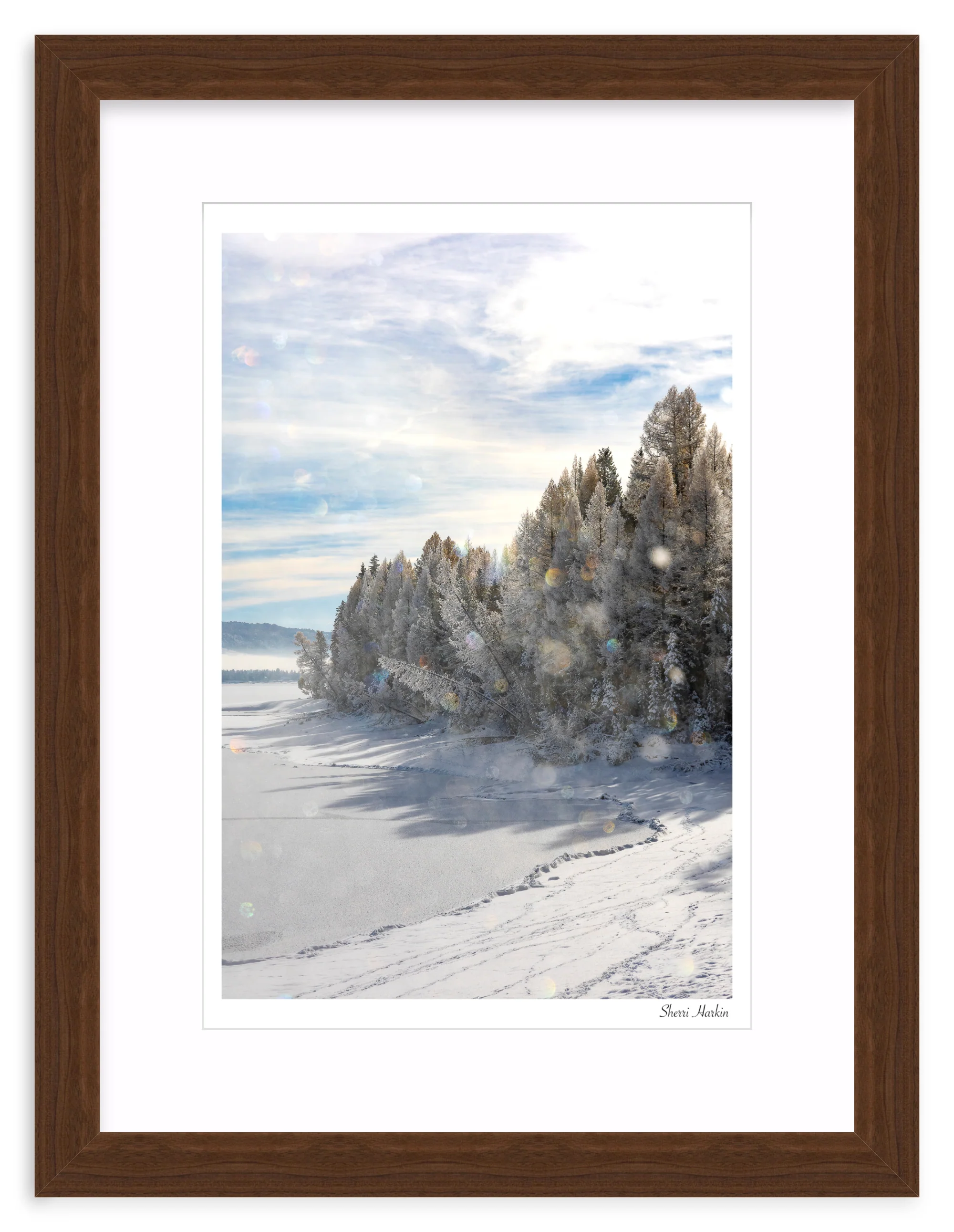 Frost Crystals in the Air - Image 8
