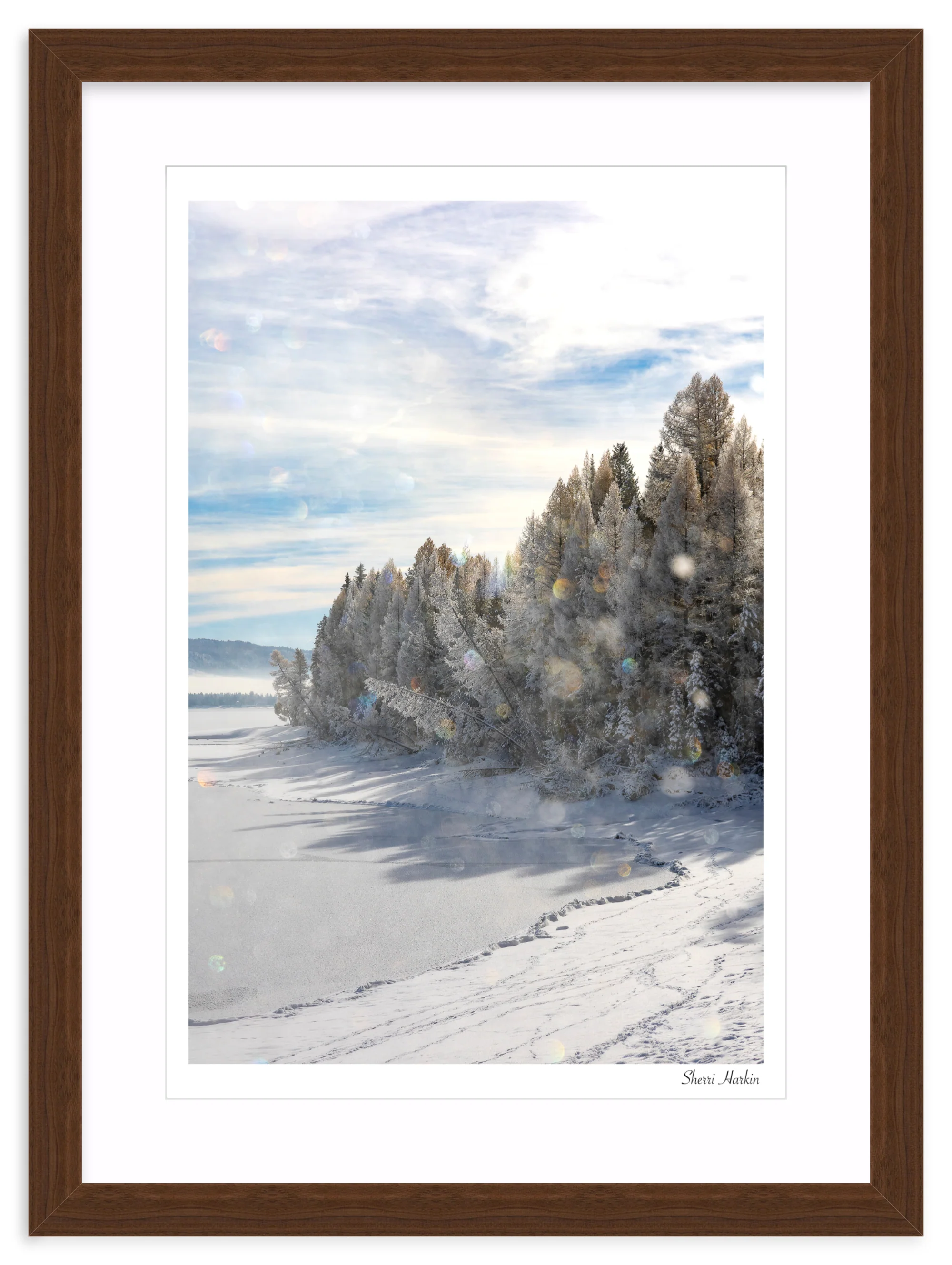 Frost Crystals in the Air - Image 9