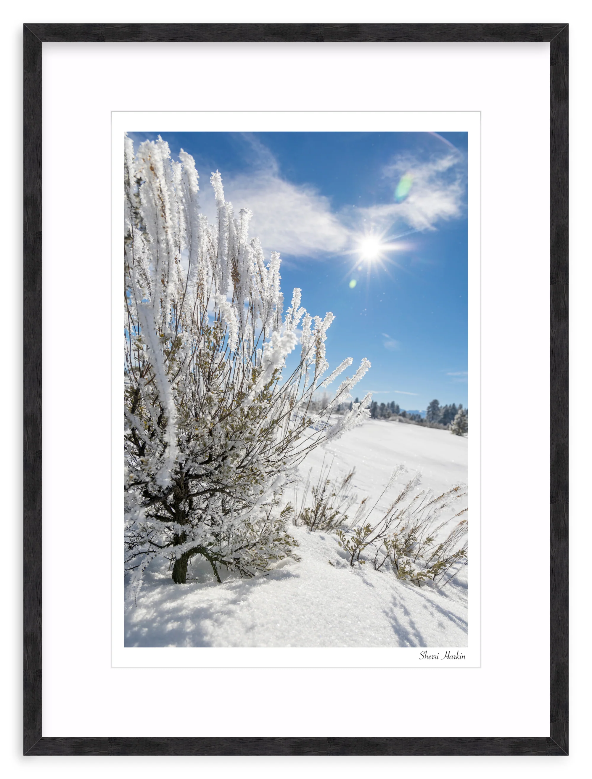 Frosted Sage - Image 11
