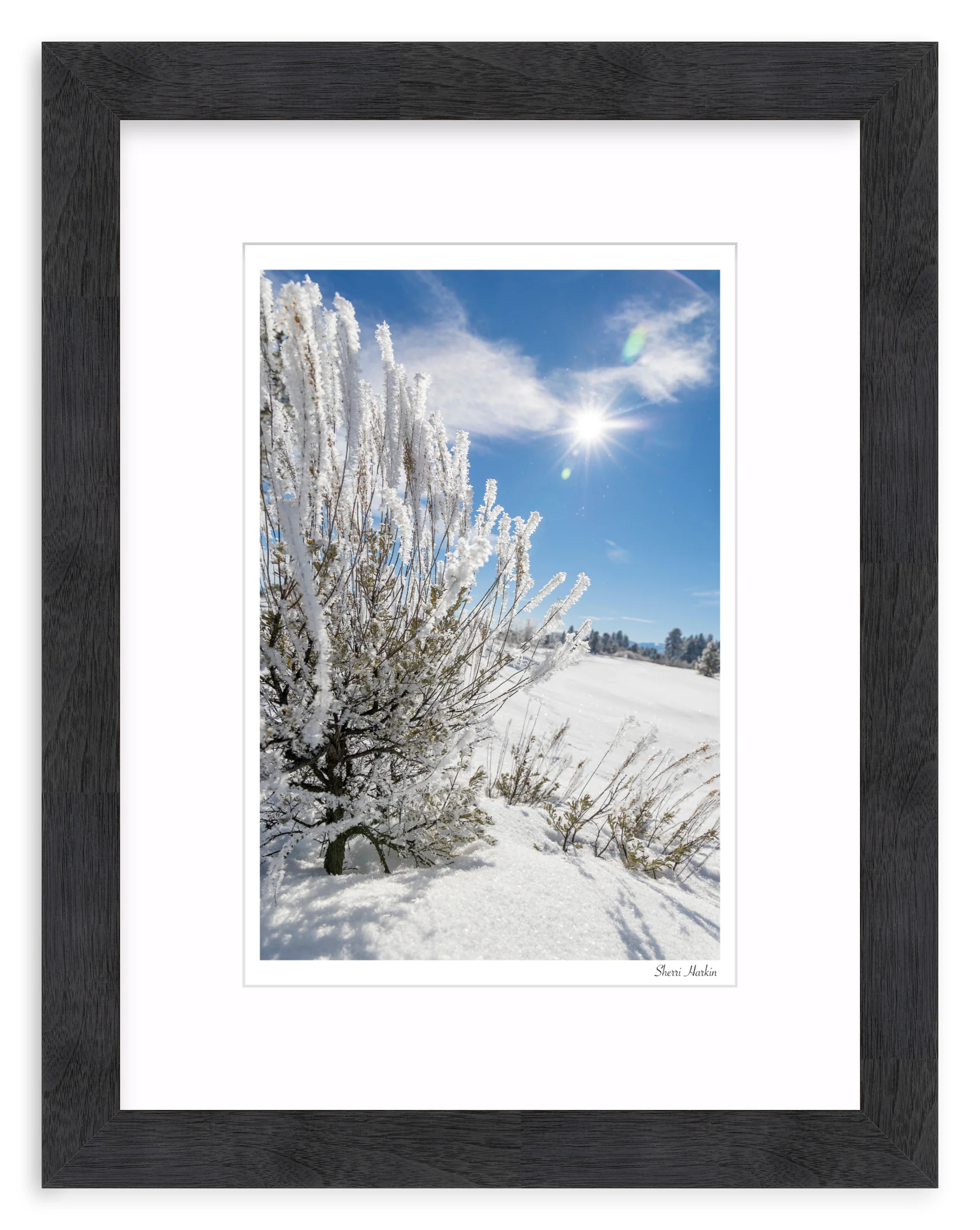 Frosted Sage - Image 13