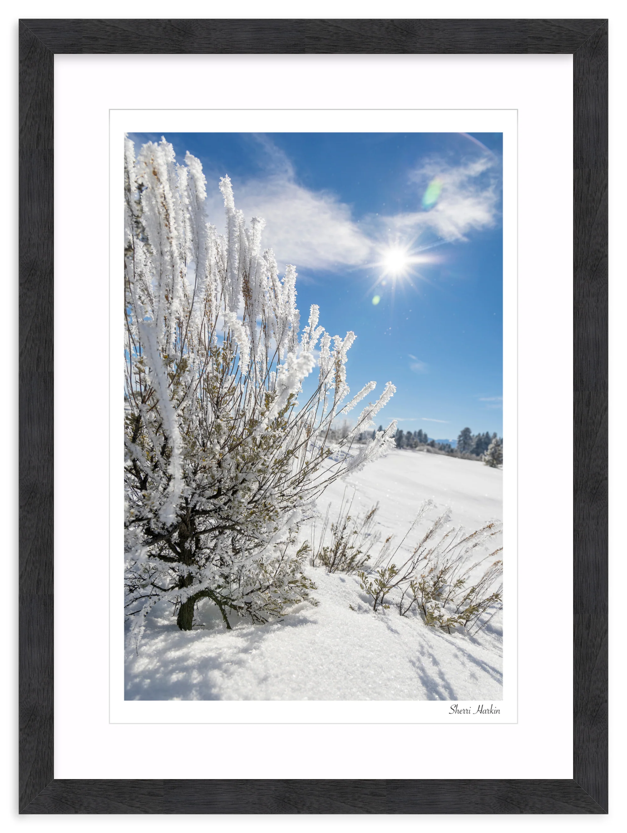 Frosted Sage - Image 15