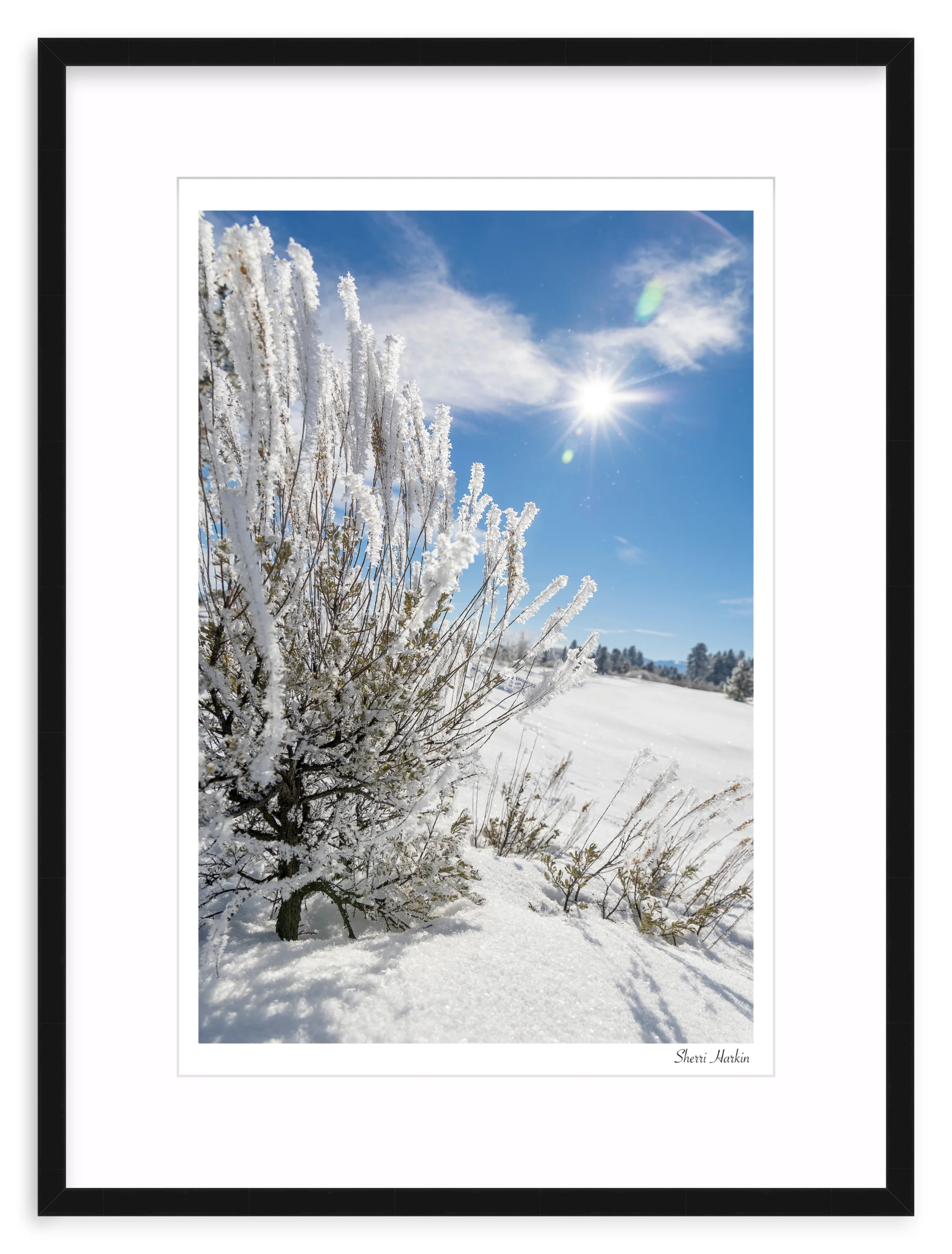 Frosted Sage - Image 2