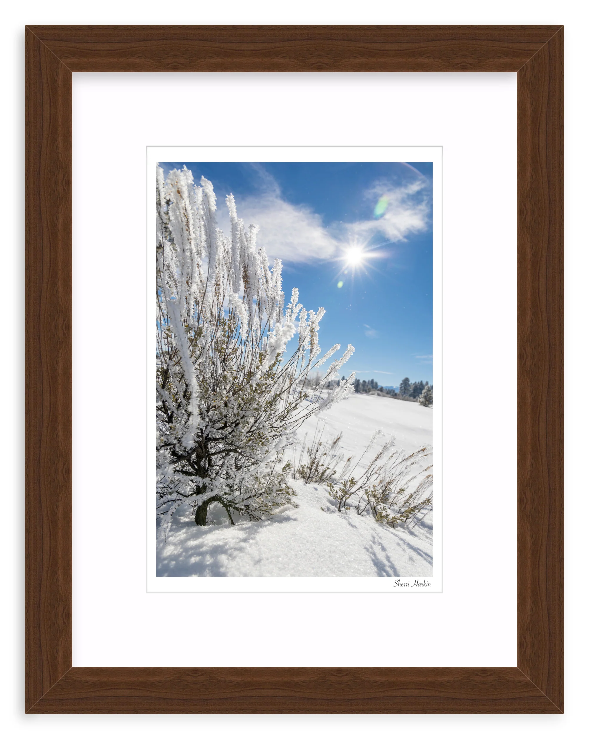Frosted Sage - Image 7