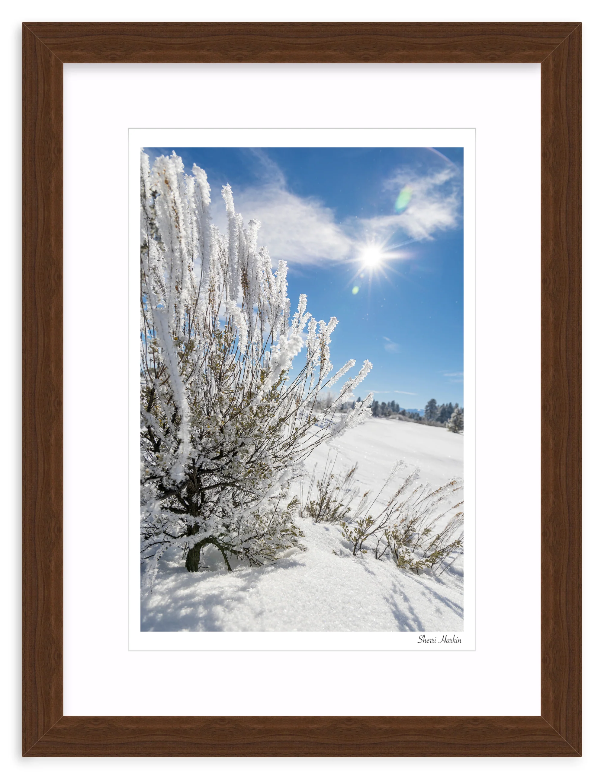 Frosted Sage - Image 8