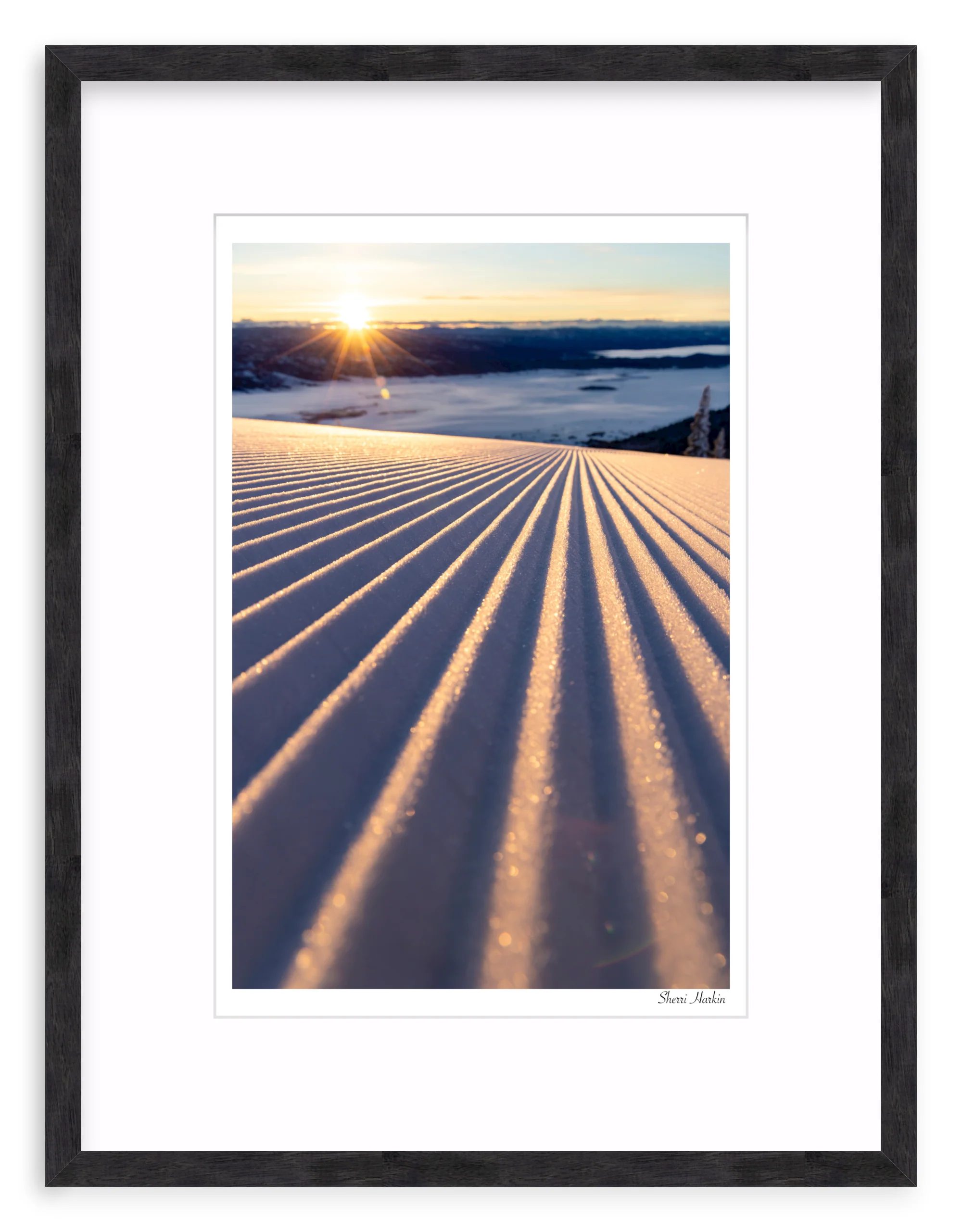Groomers - Image 10
