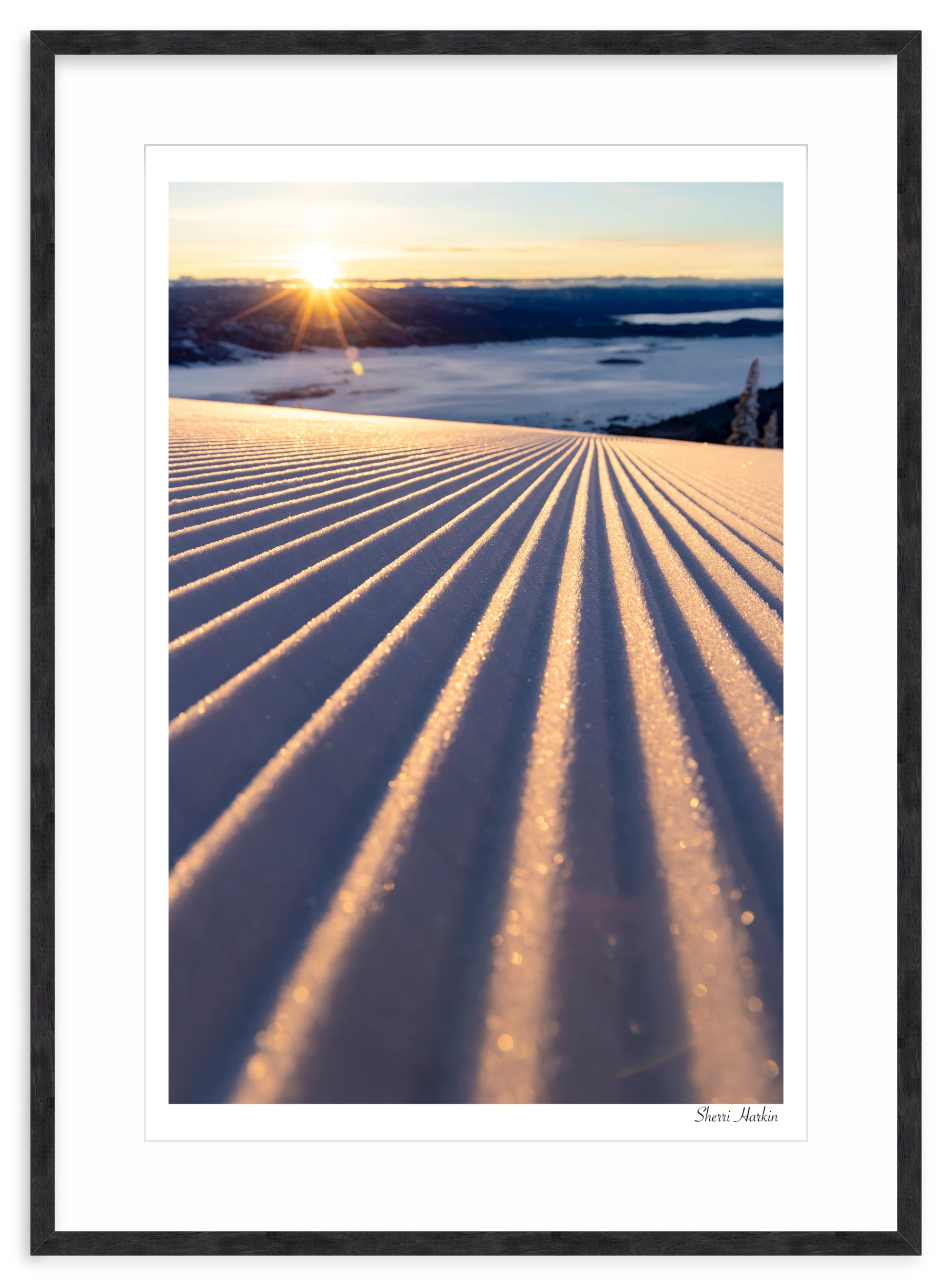 Groomers - Image 12