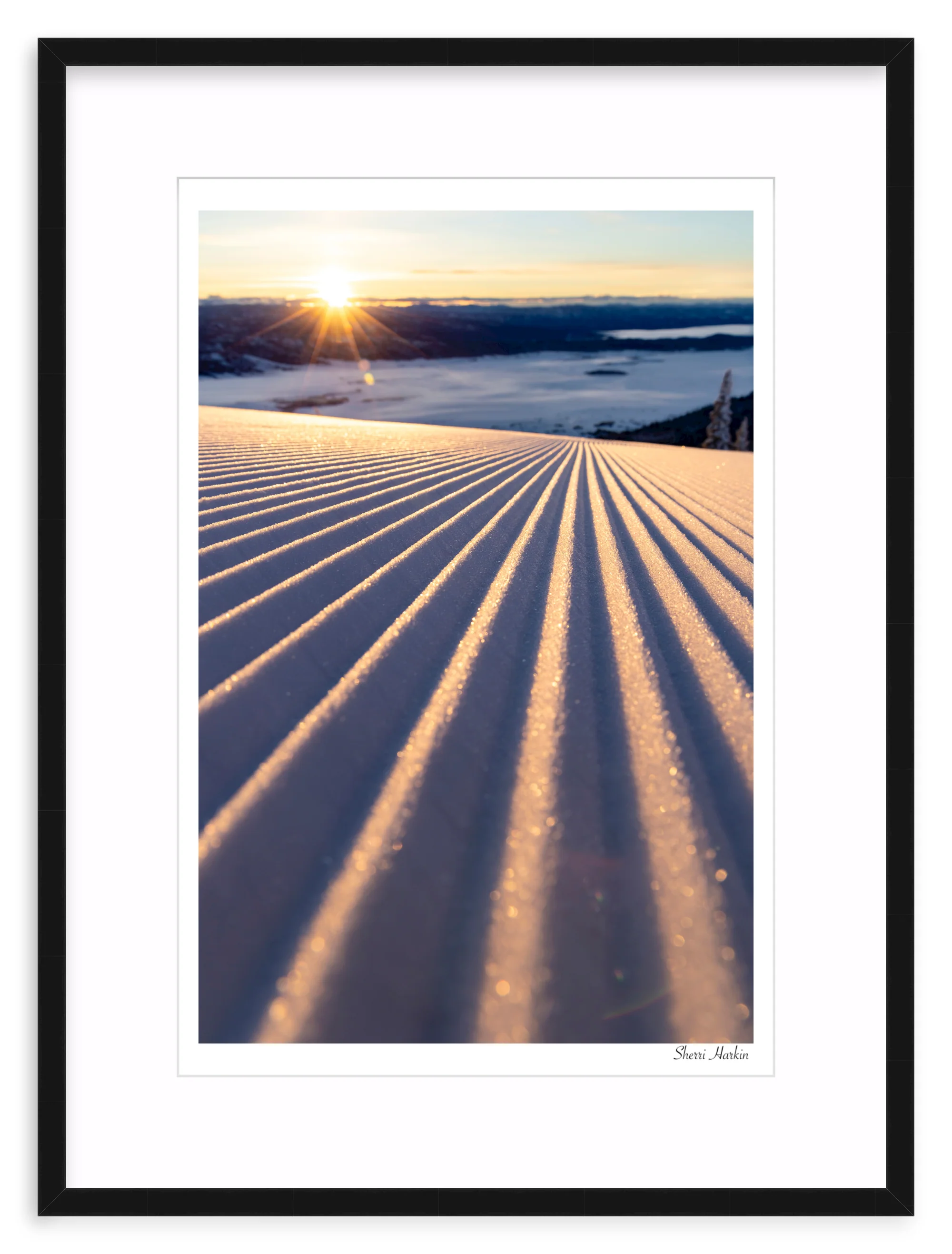 Groomers - Image 2