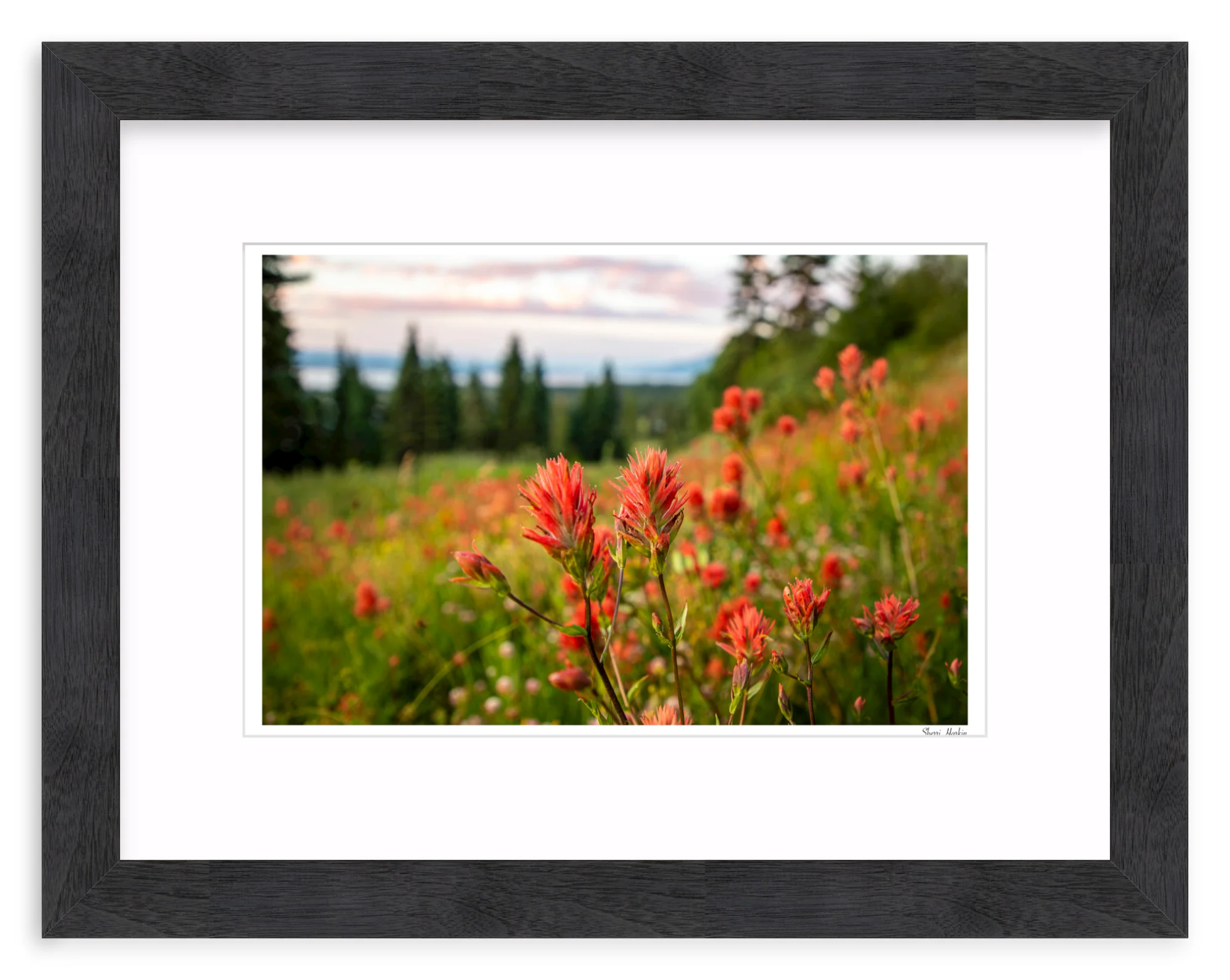 Indian Paint Brush - Image 13