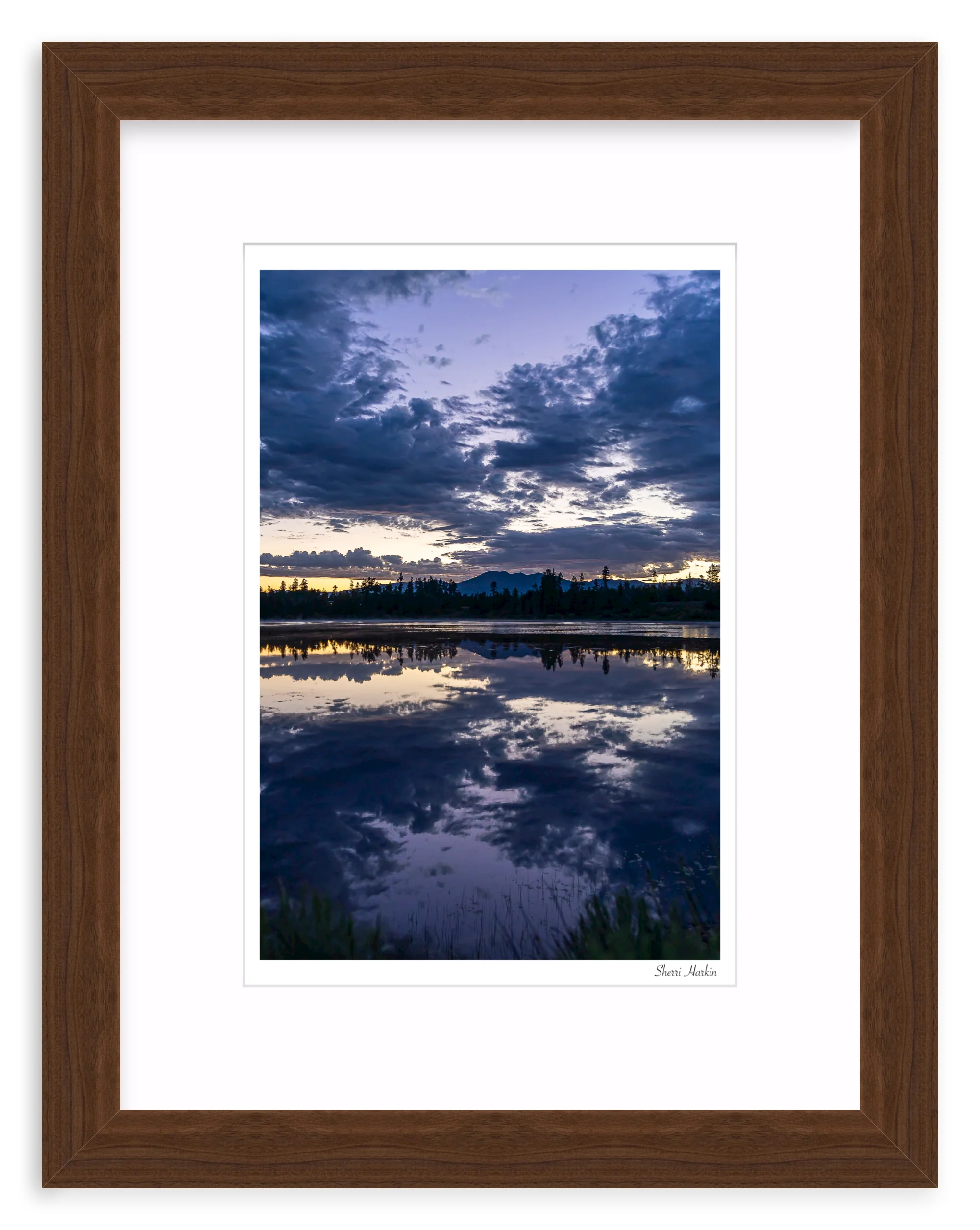 Lake Cascade Reflection - Image 7