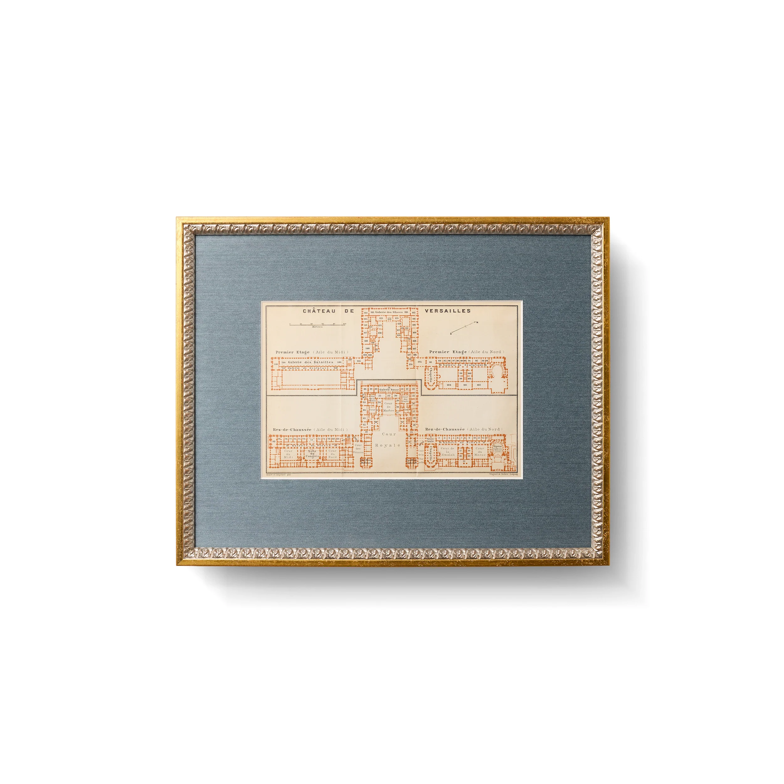 Lily - Image 5