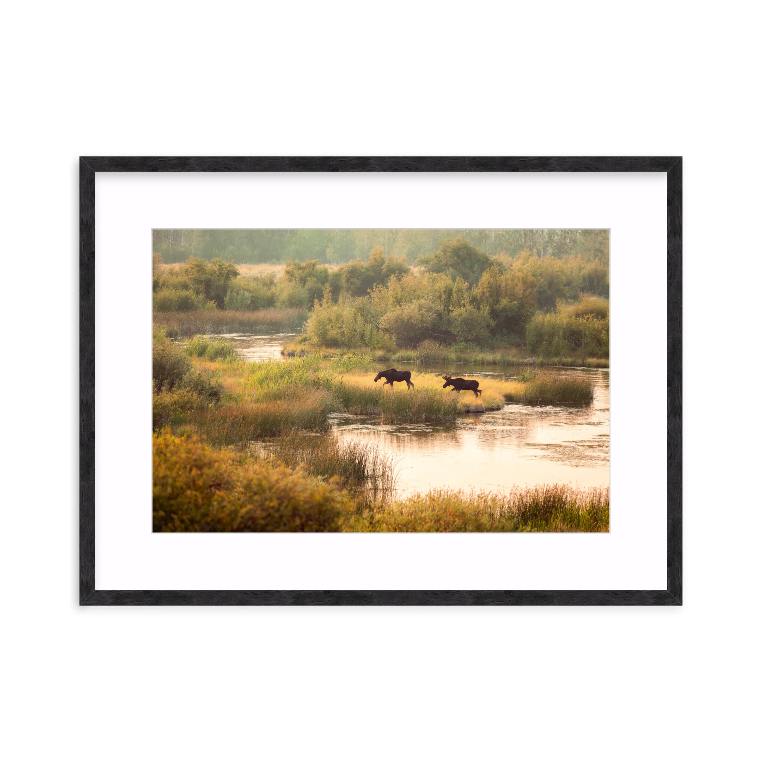 Moose Crossing - Image 11