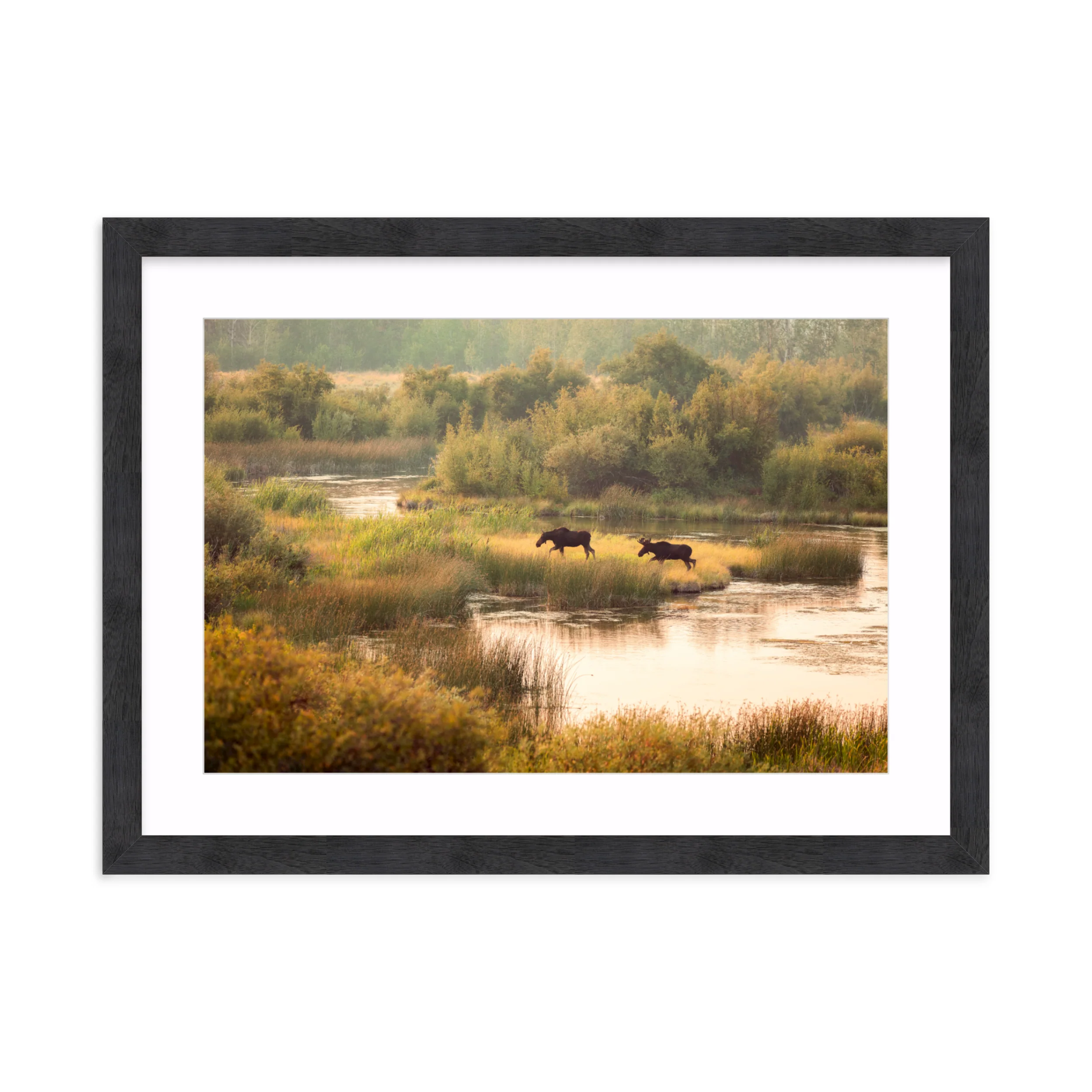 Moose Crossing - Image 13