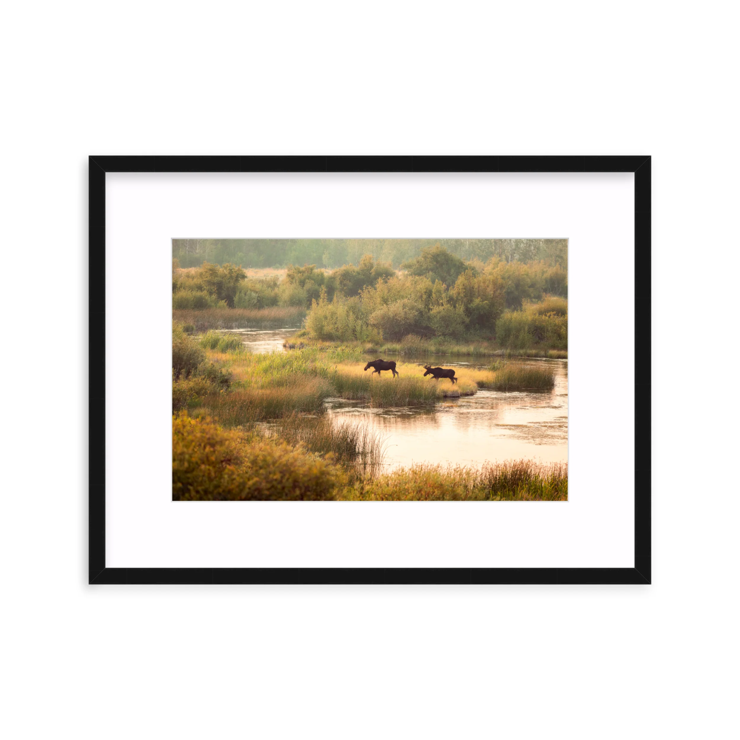Moose Crossing - Image 3