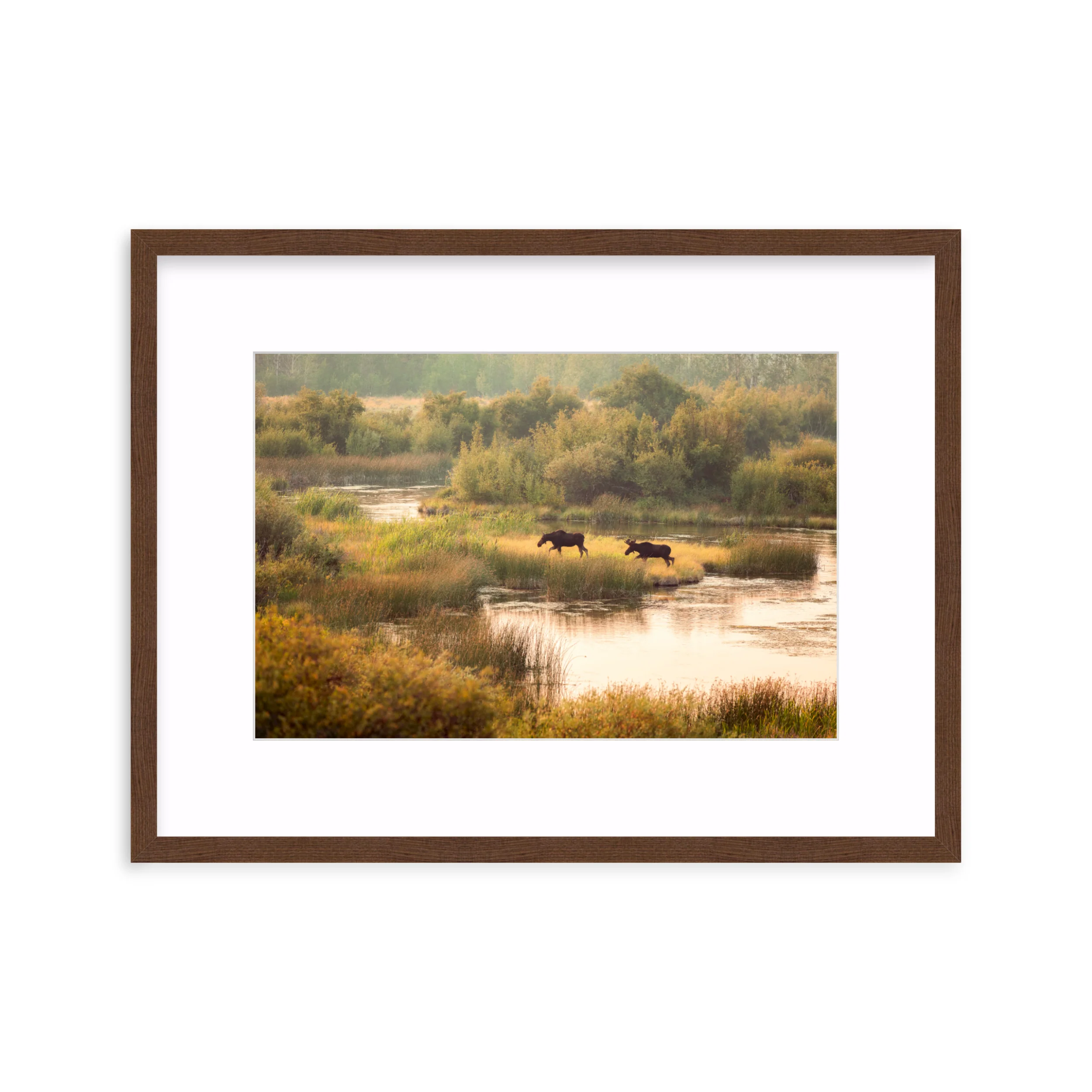 Moose Crossing - Image 5