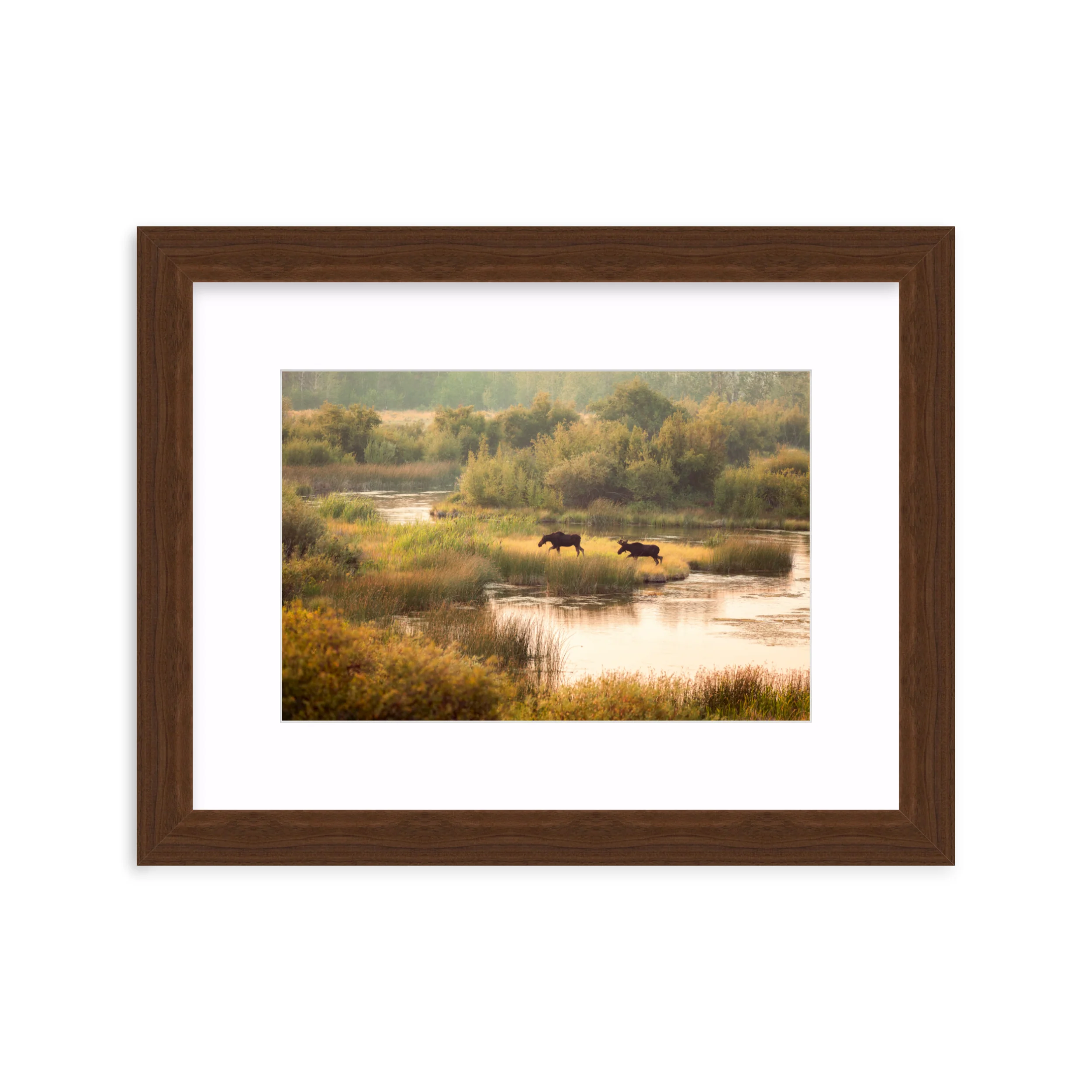 Moose Crossing - Image 9