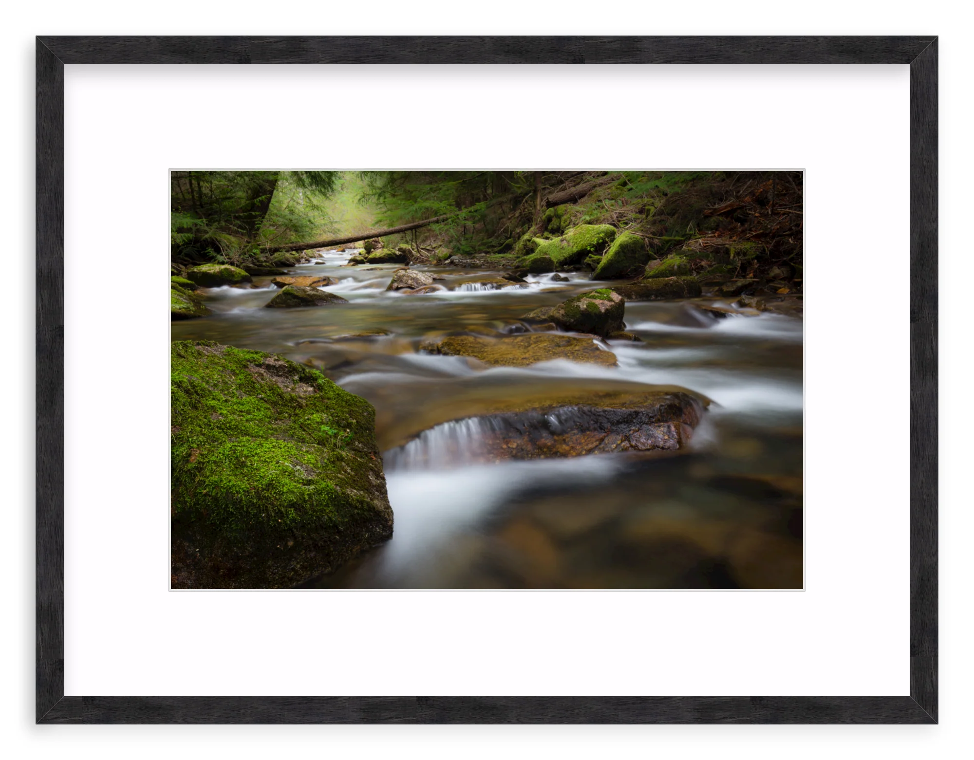 North Idaho - Image 10