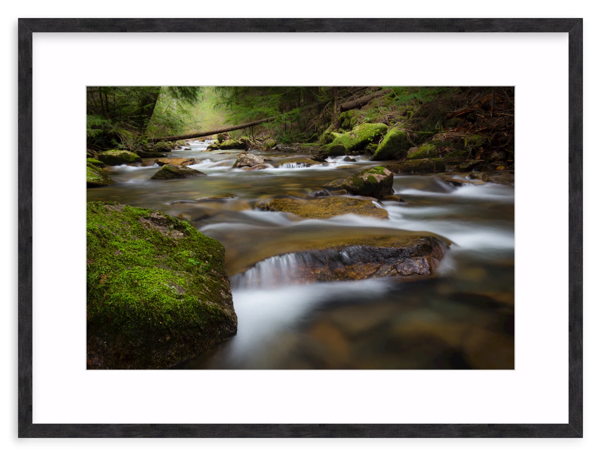 North Idaho - Image 11