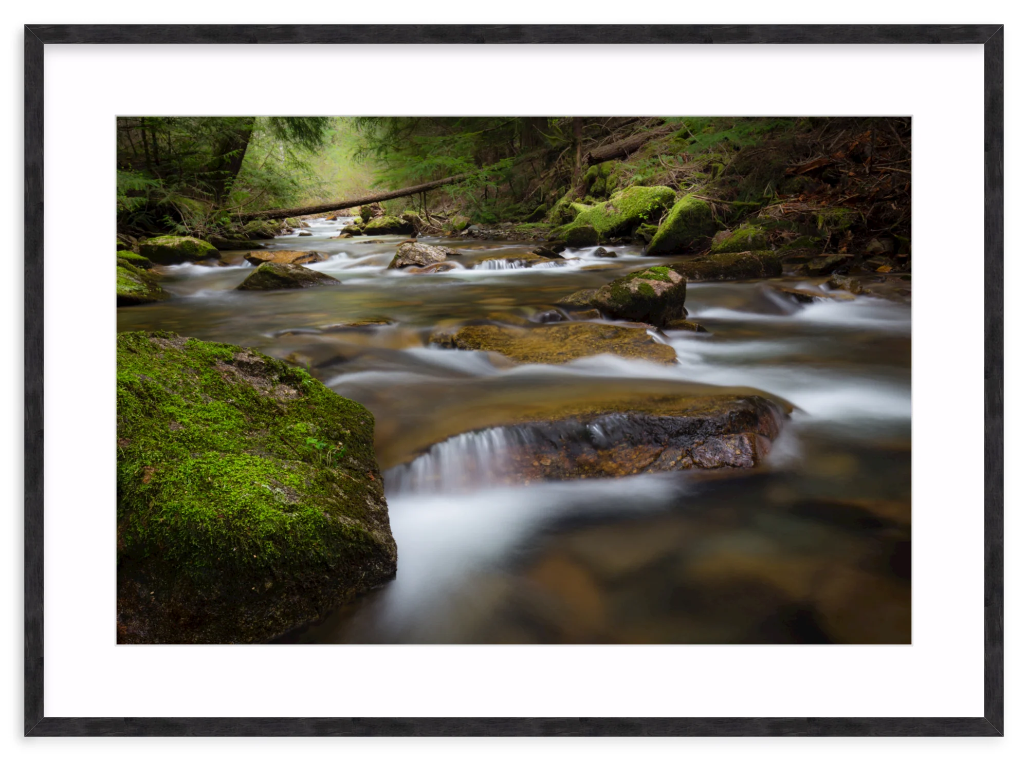 North Idaho - Image 12
