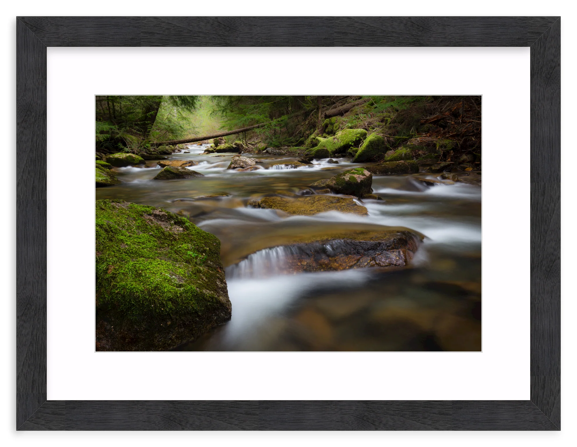 North Idaho - Image 14