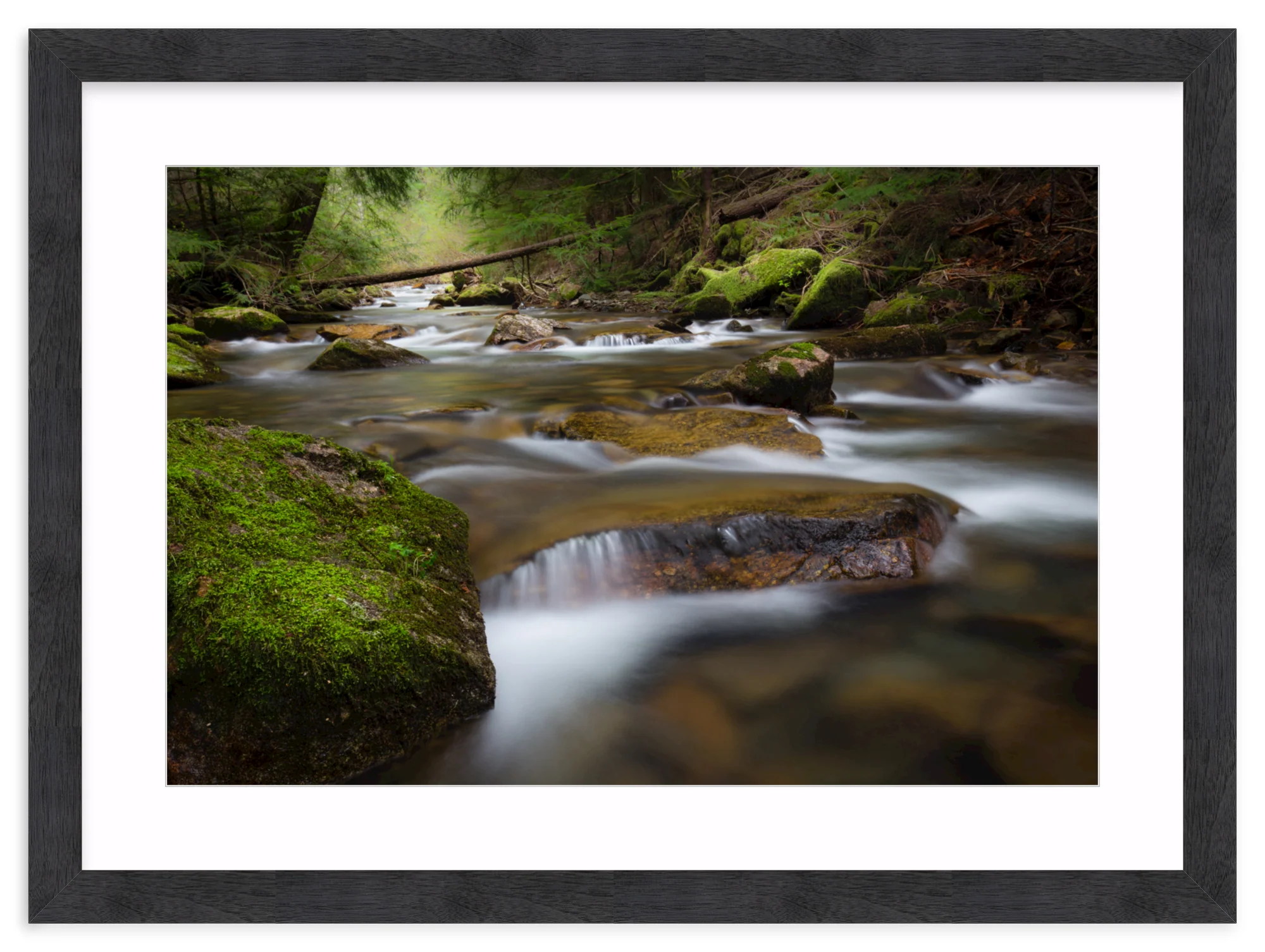 North Idaho - Image 15