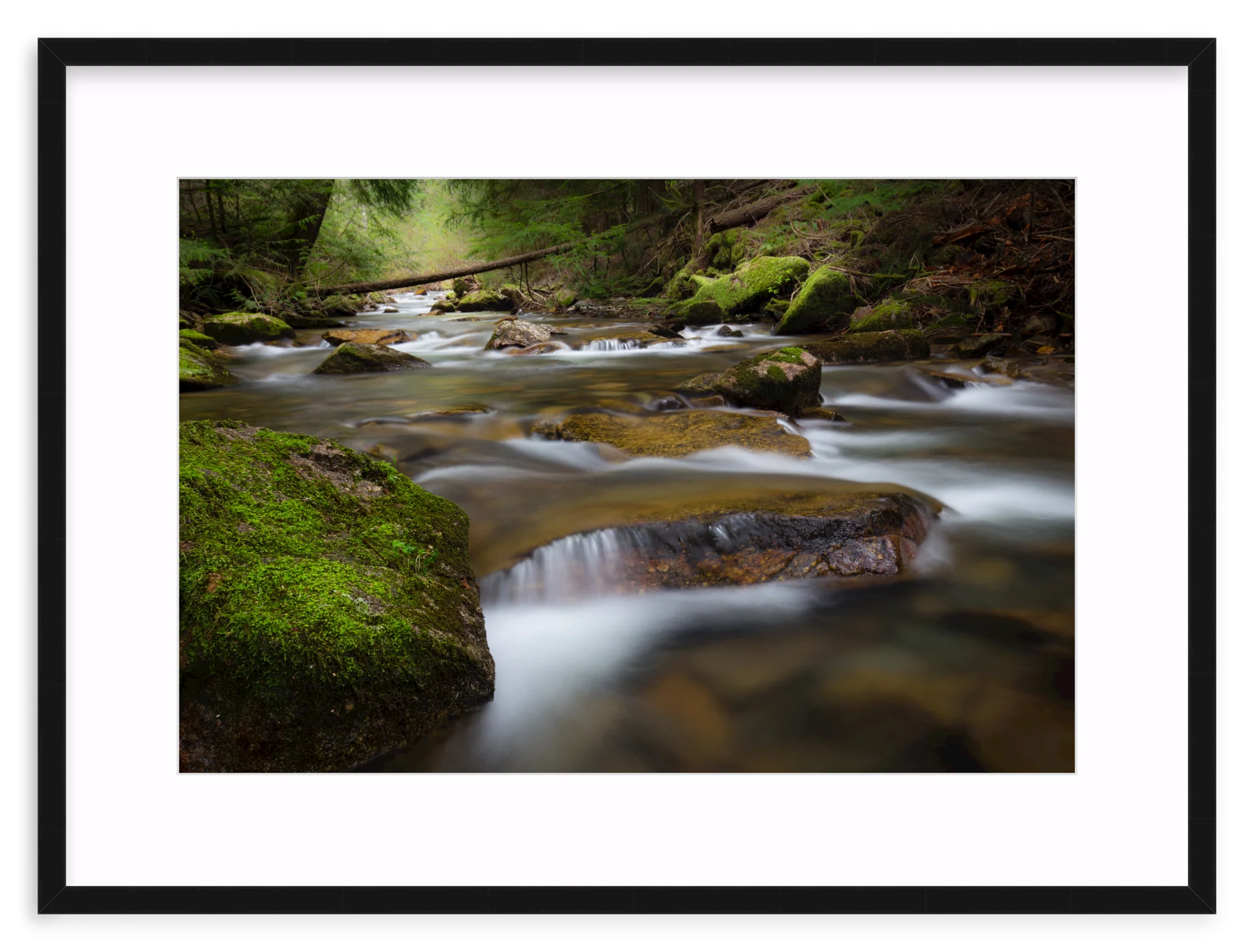 North Idaho - Image 2