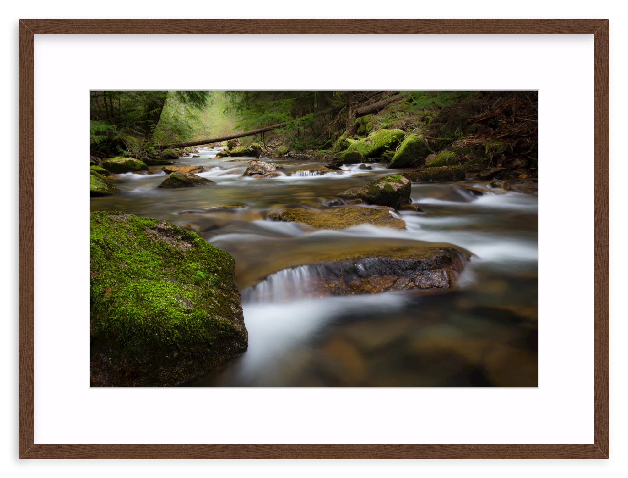 North Idaho - Image 5