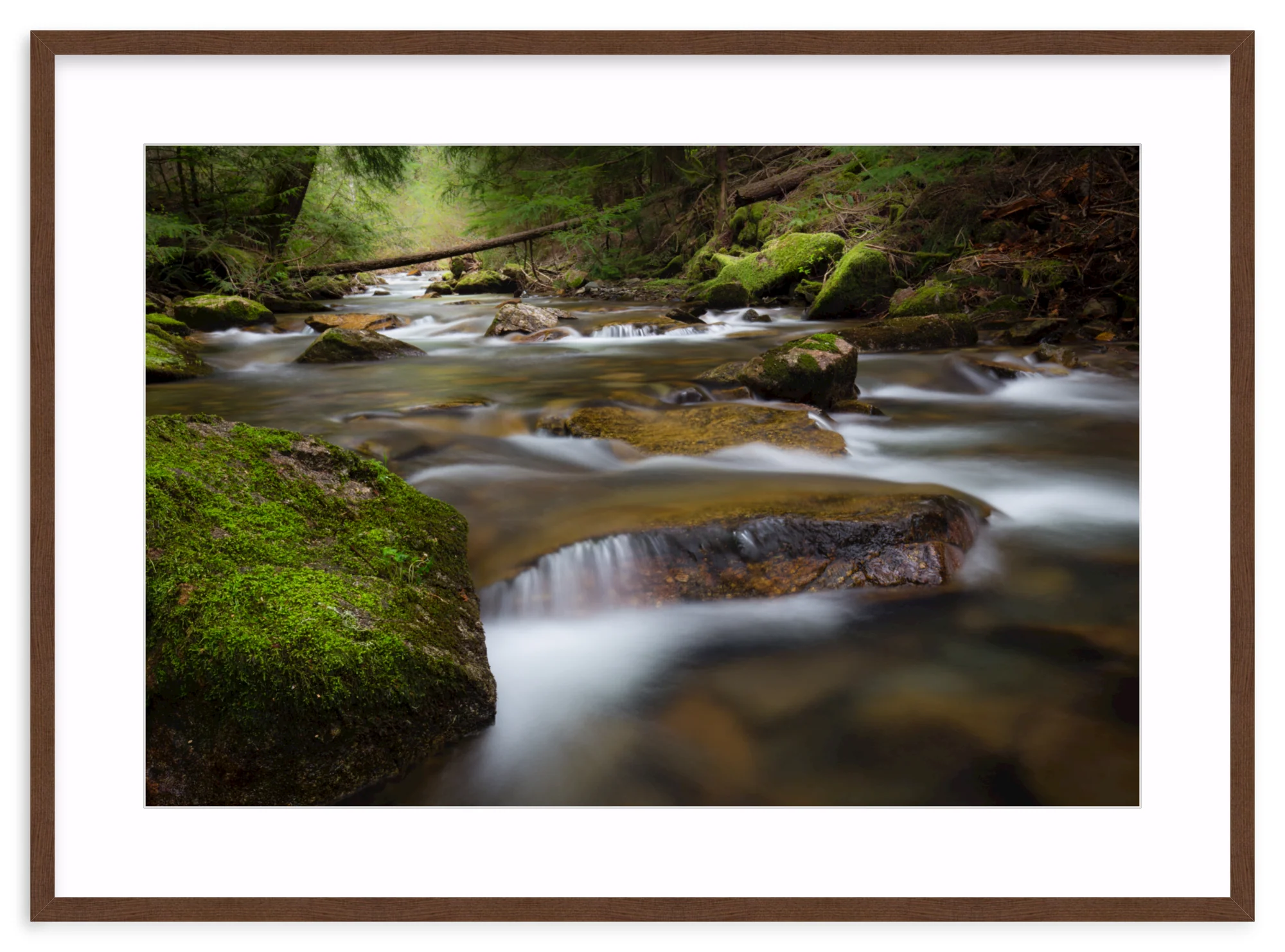 North Idaho - Image 6