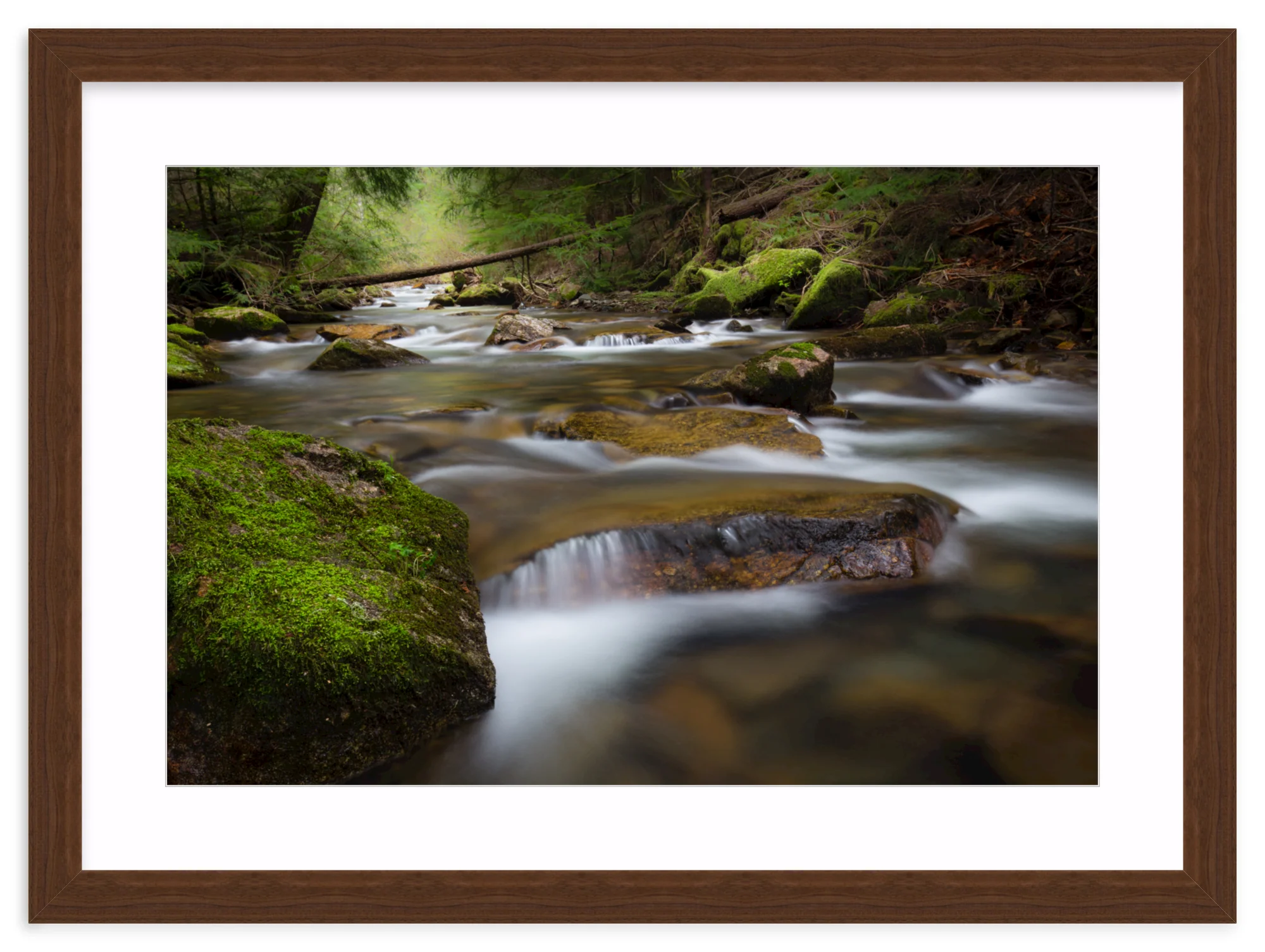 North Idaho - Image 9