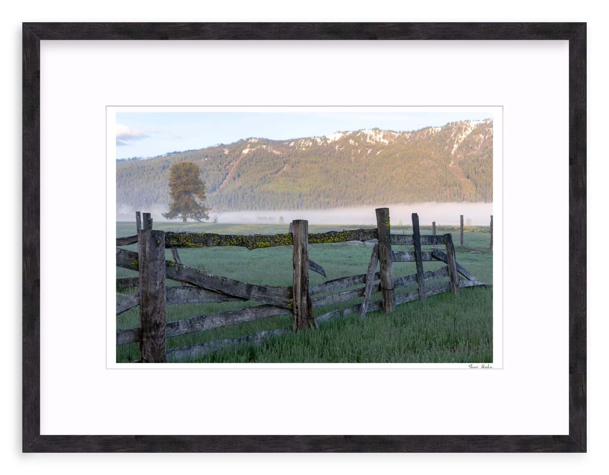 Old Fence - Image 10