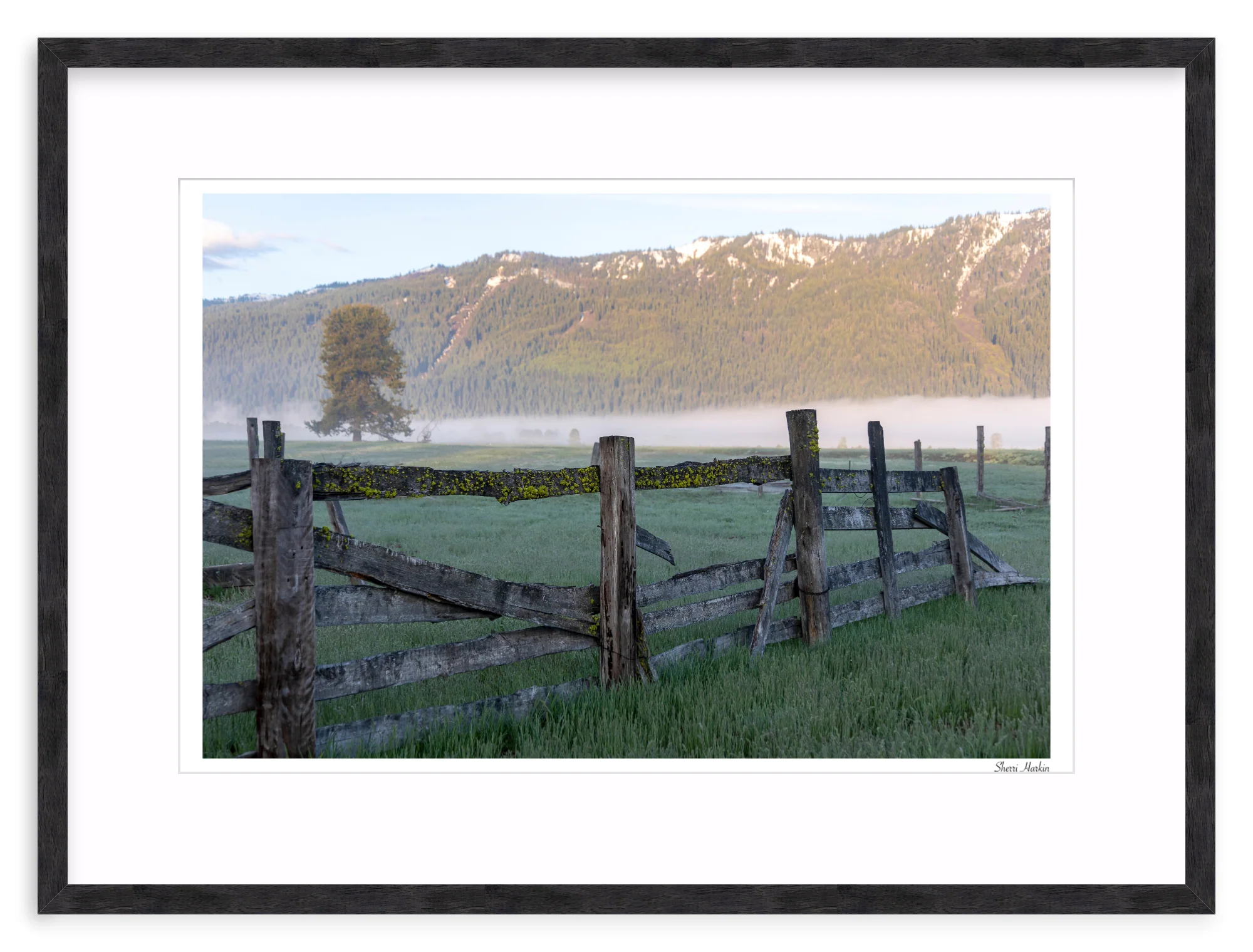 Old Fence - Image 11