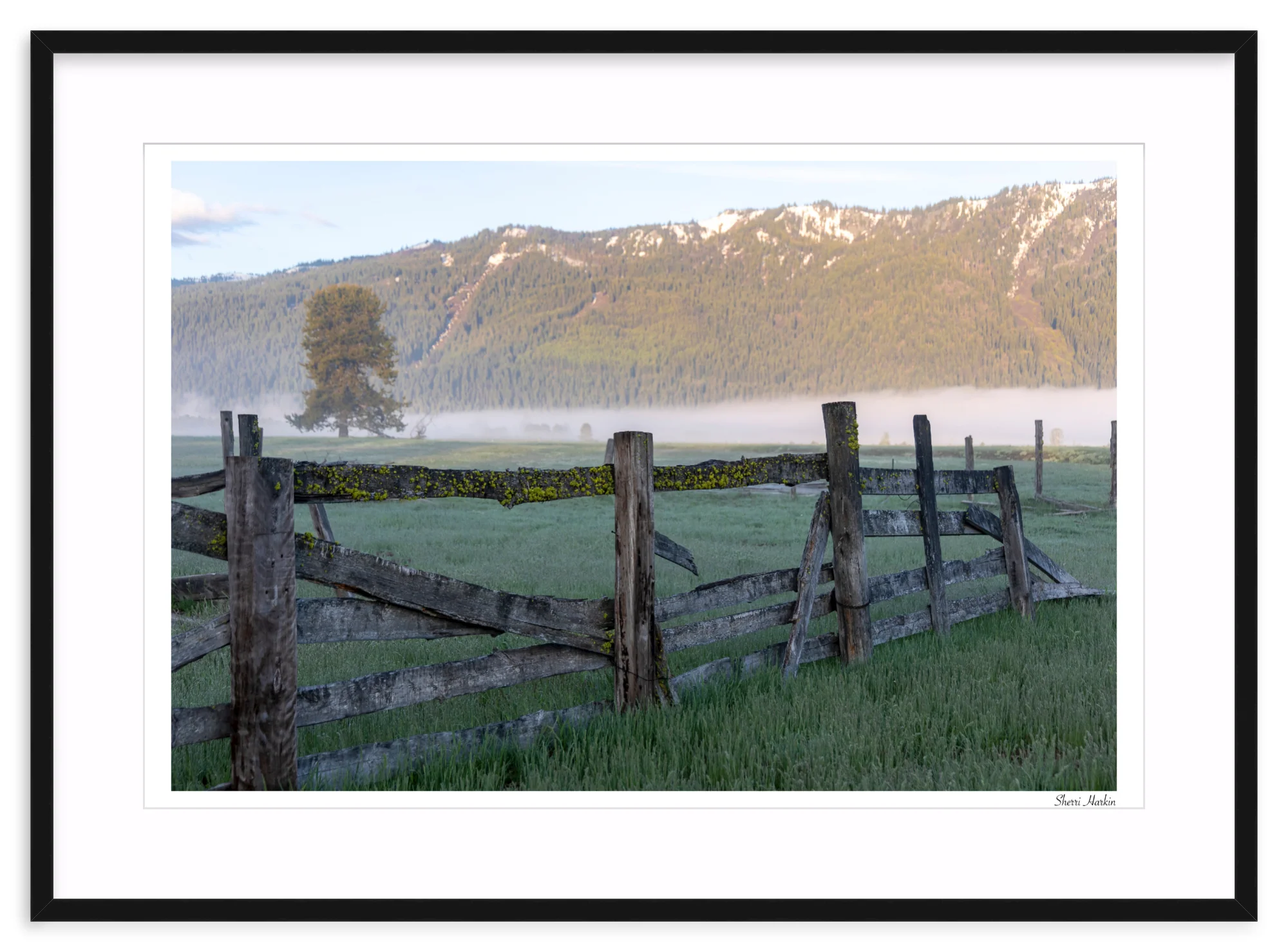 Old Fence - Image 3