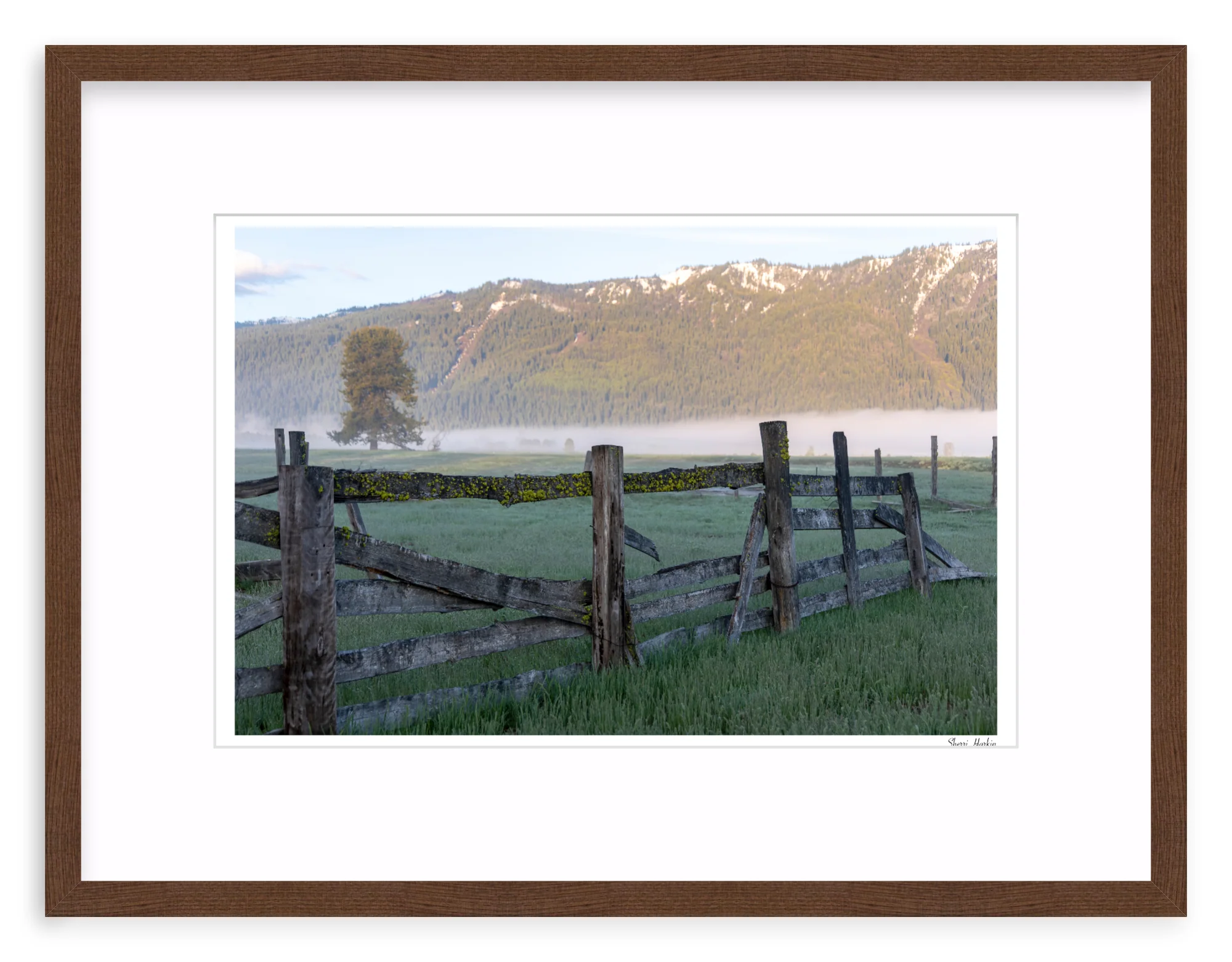 Old Fence - Image 4