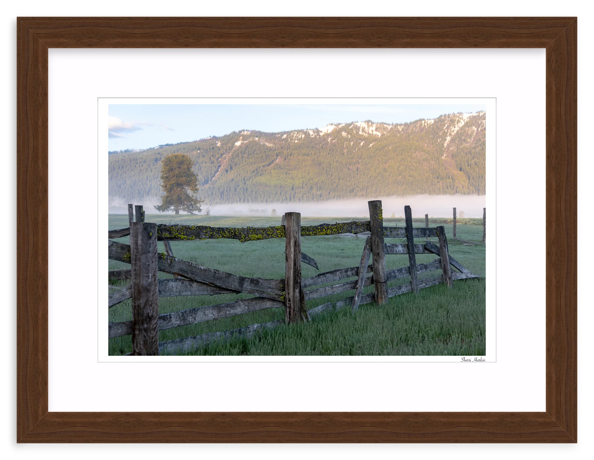 Old Fence - Image 8