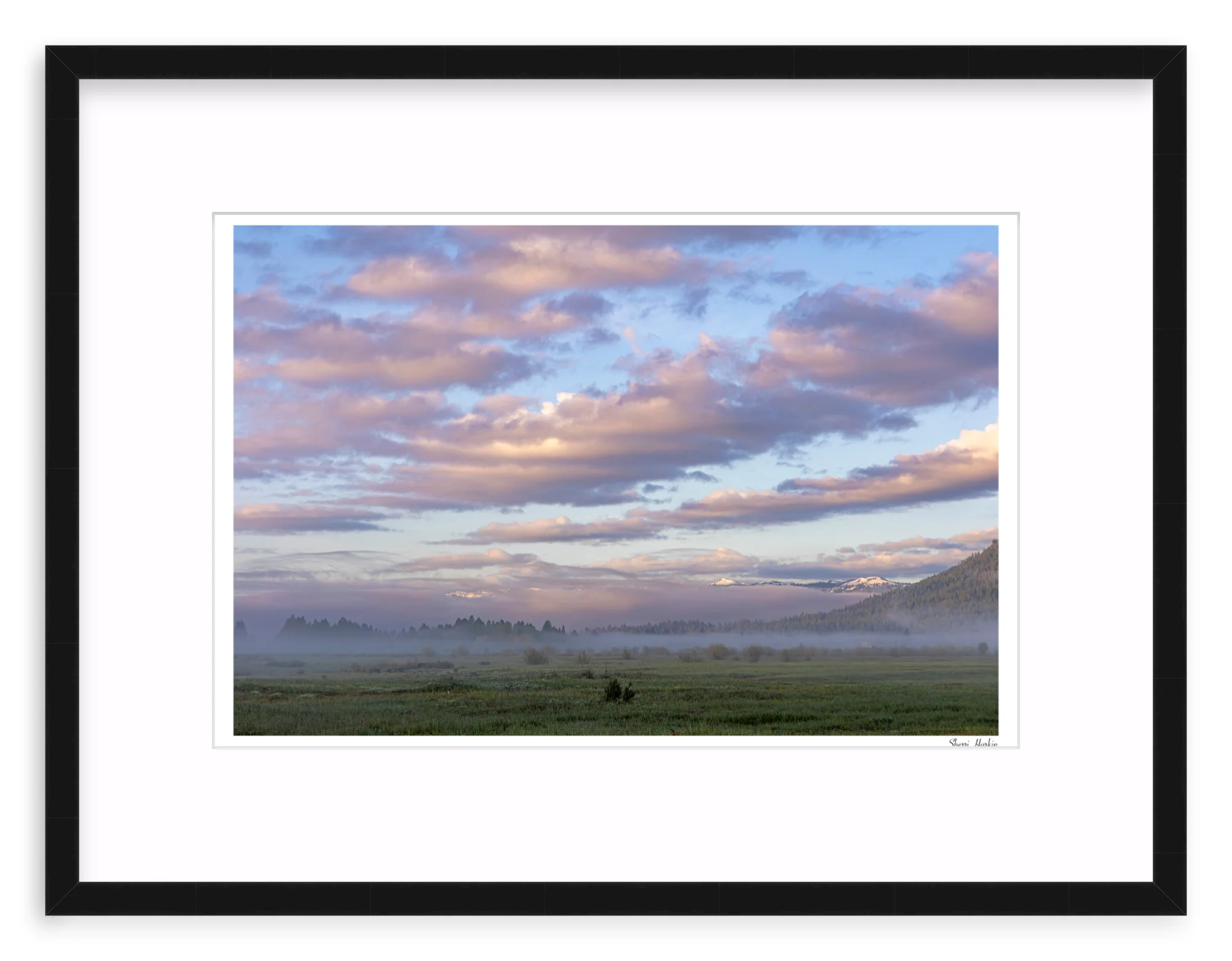 Pink Clouds Over Meadow