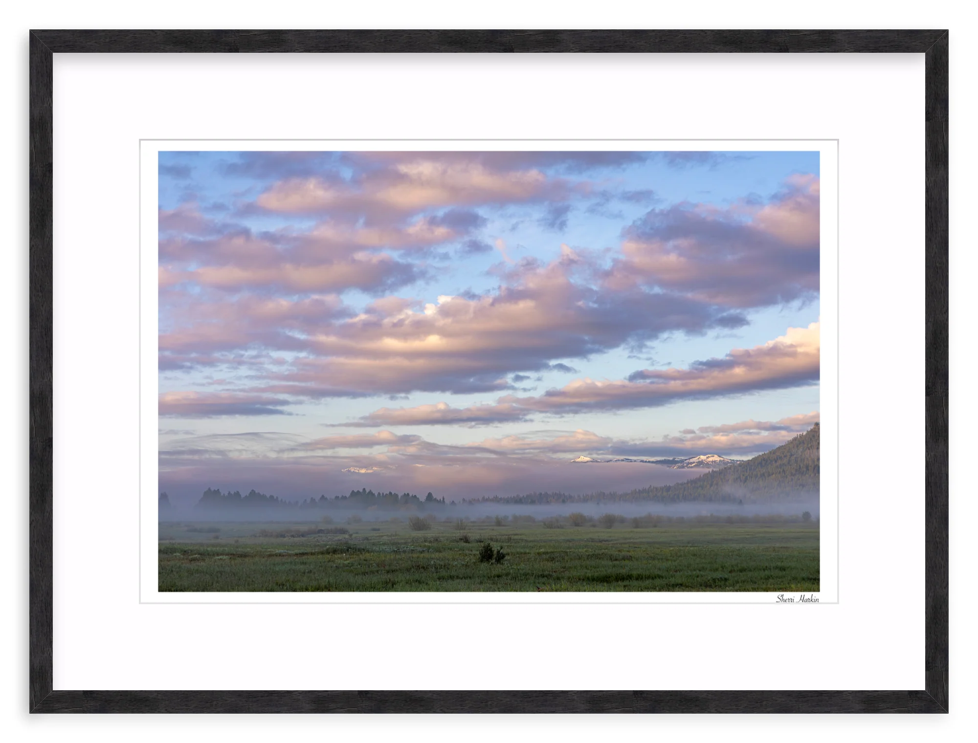 Pink Clouds Over Meadow - Image 11